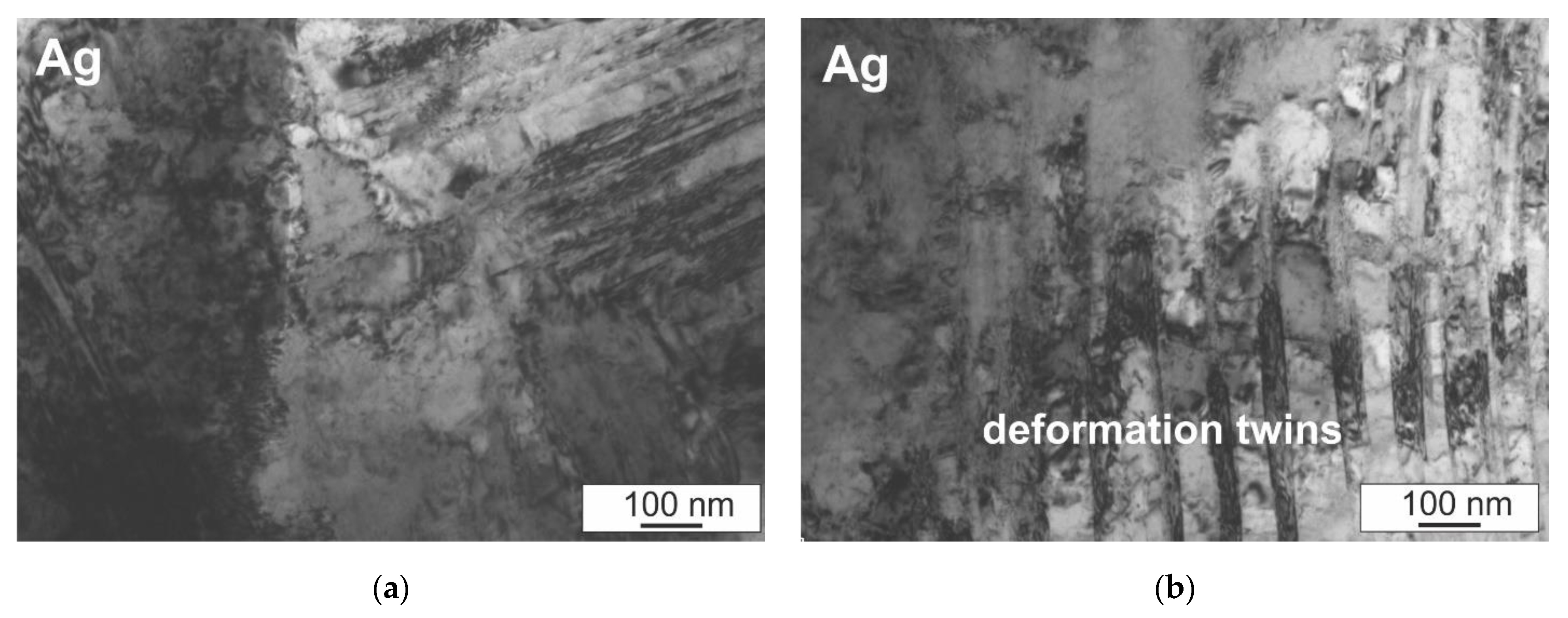 Materials 14 04846 g008a 550