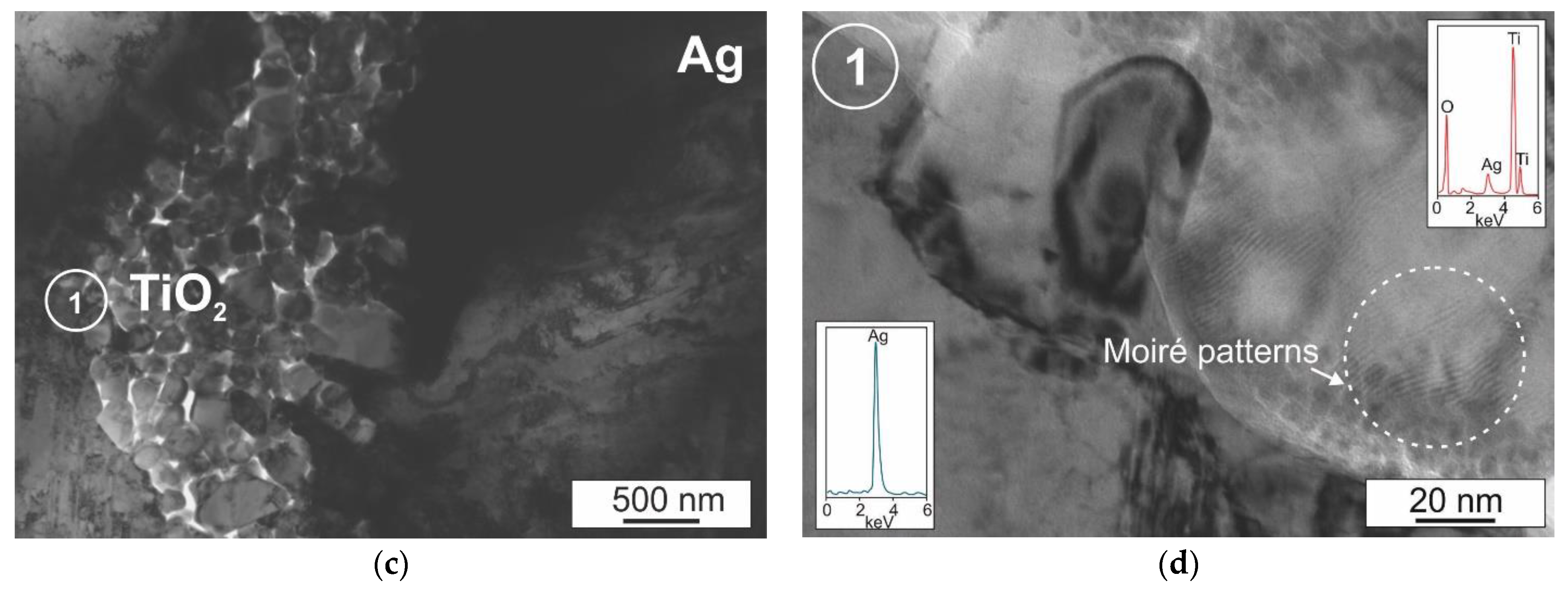 Materials 14 04846 g008b 550