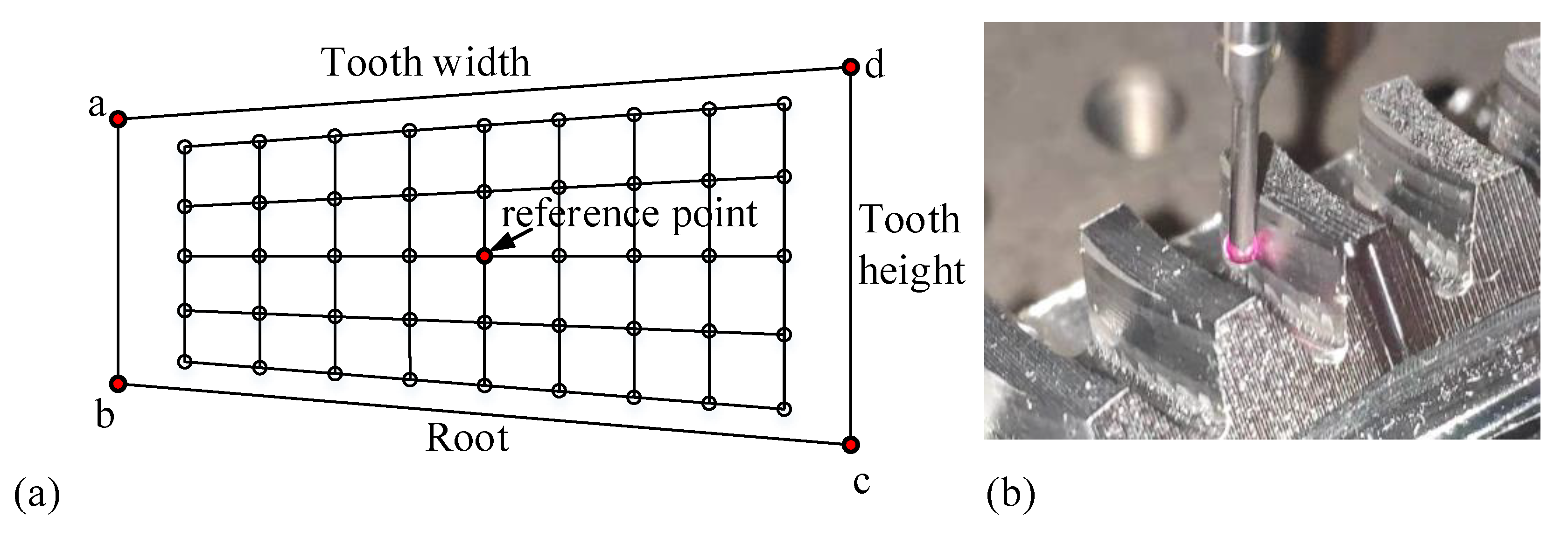 Materials 14 04848 g013 550
