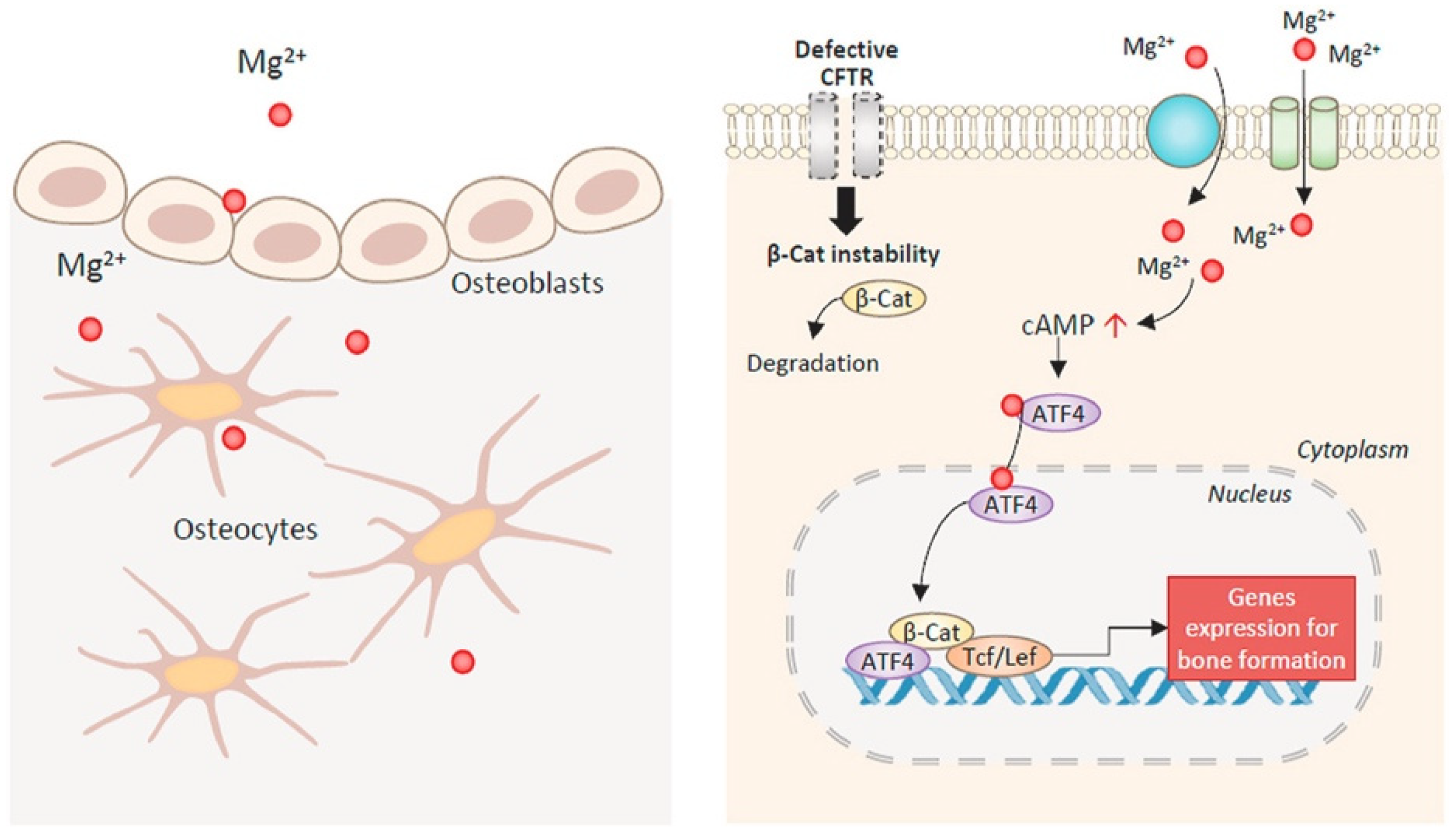 Materials 14 04857 g002