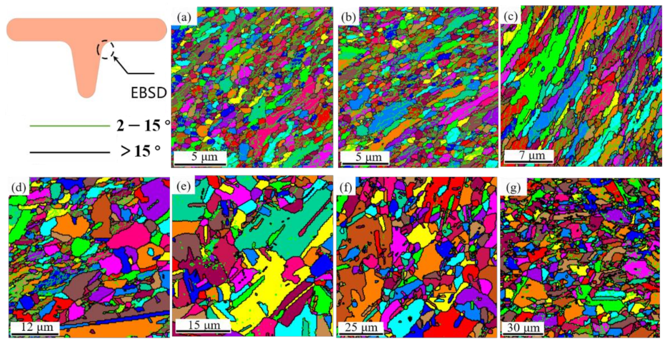 Materials 14 04869 g012