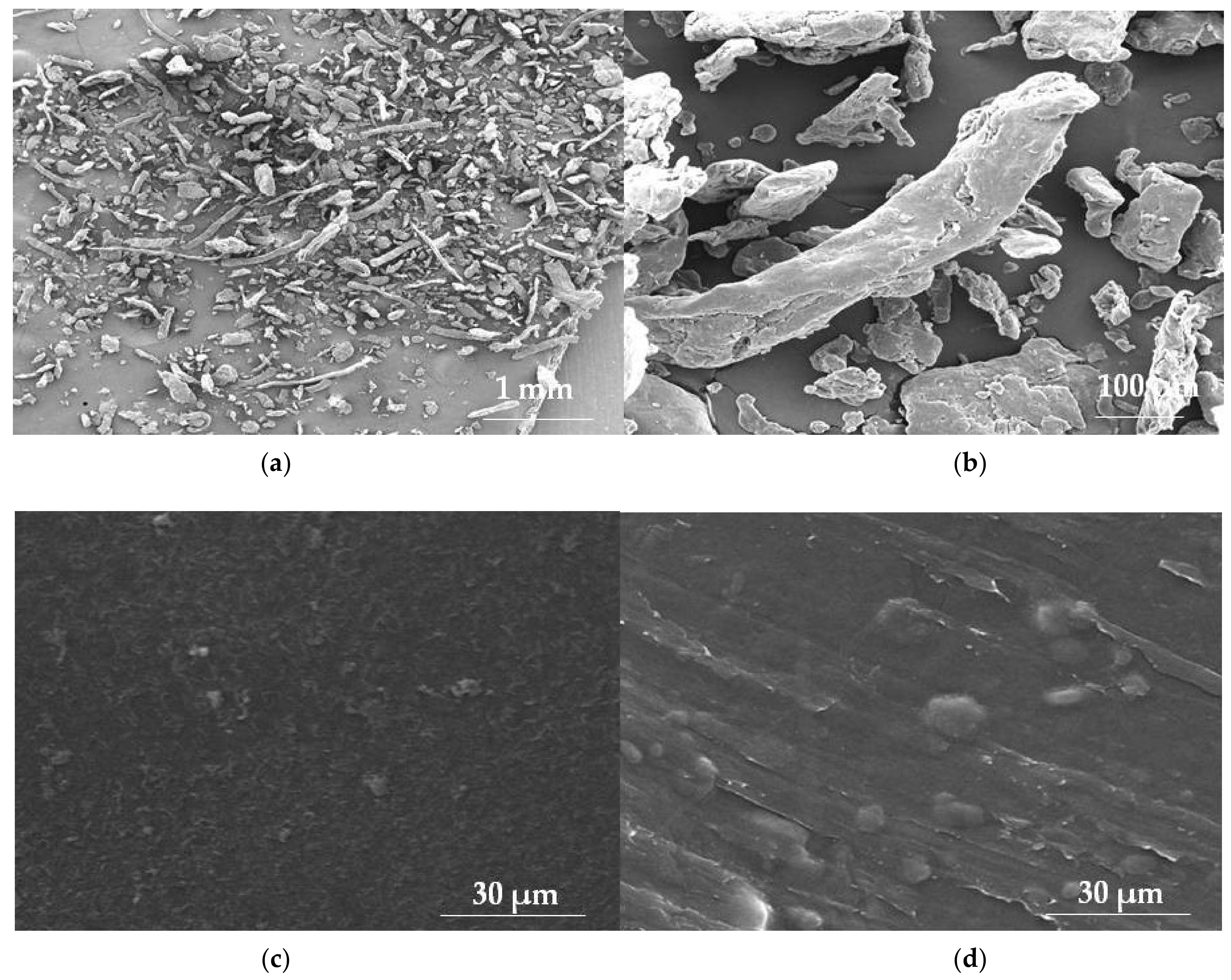 Materials 14 04872 g002