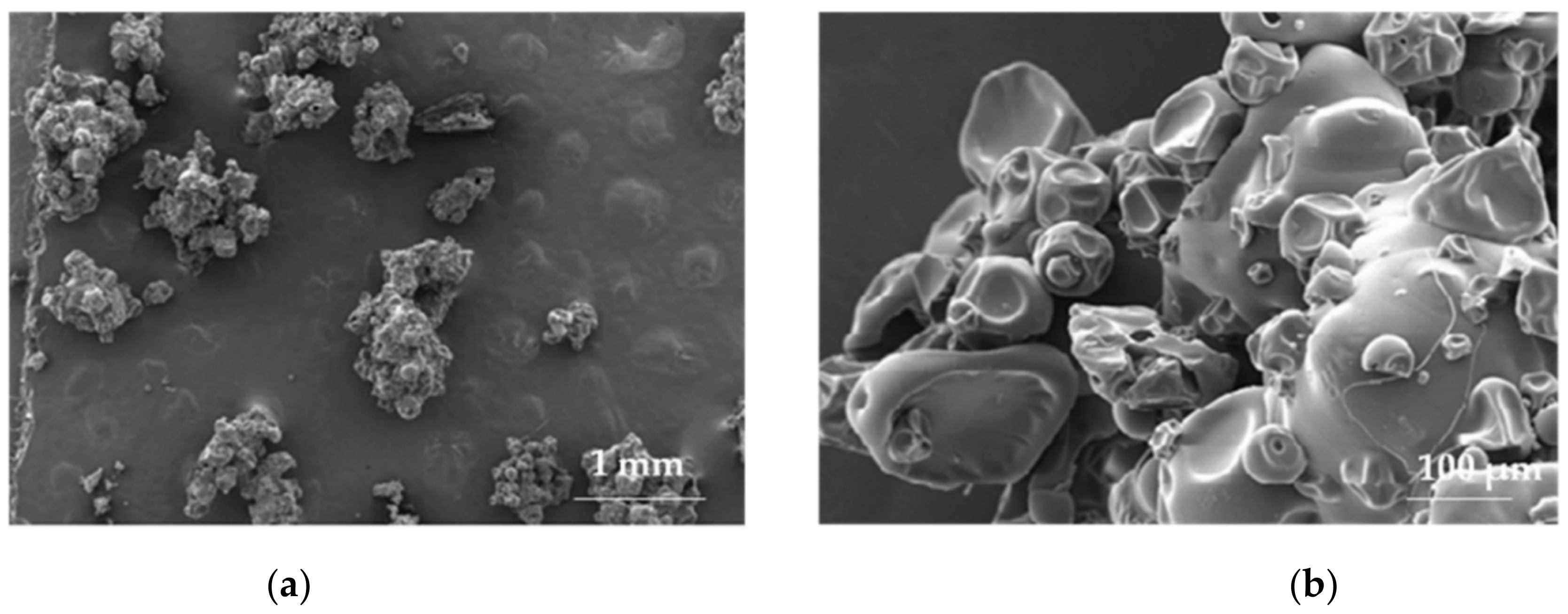 Materials 14 04872 g004a