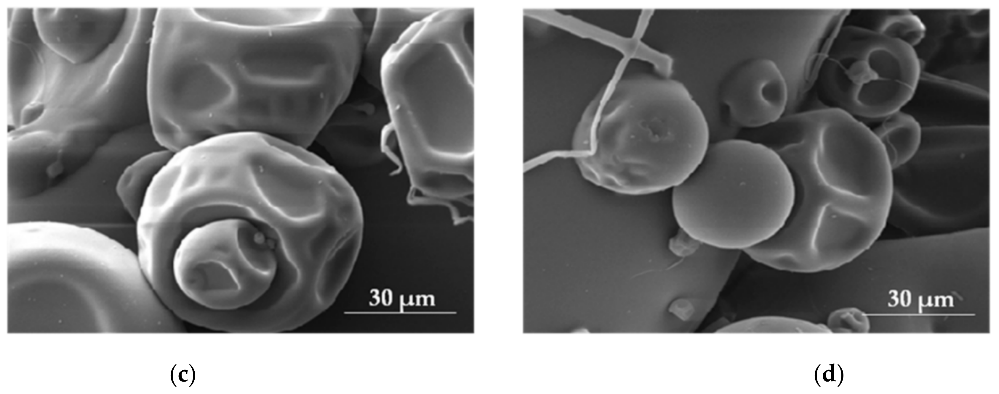 Materials 14 04872 g004b