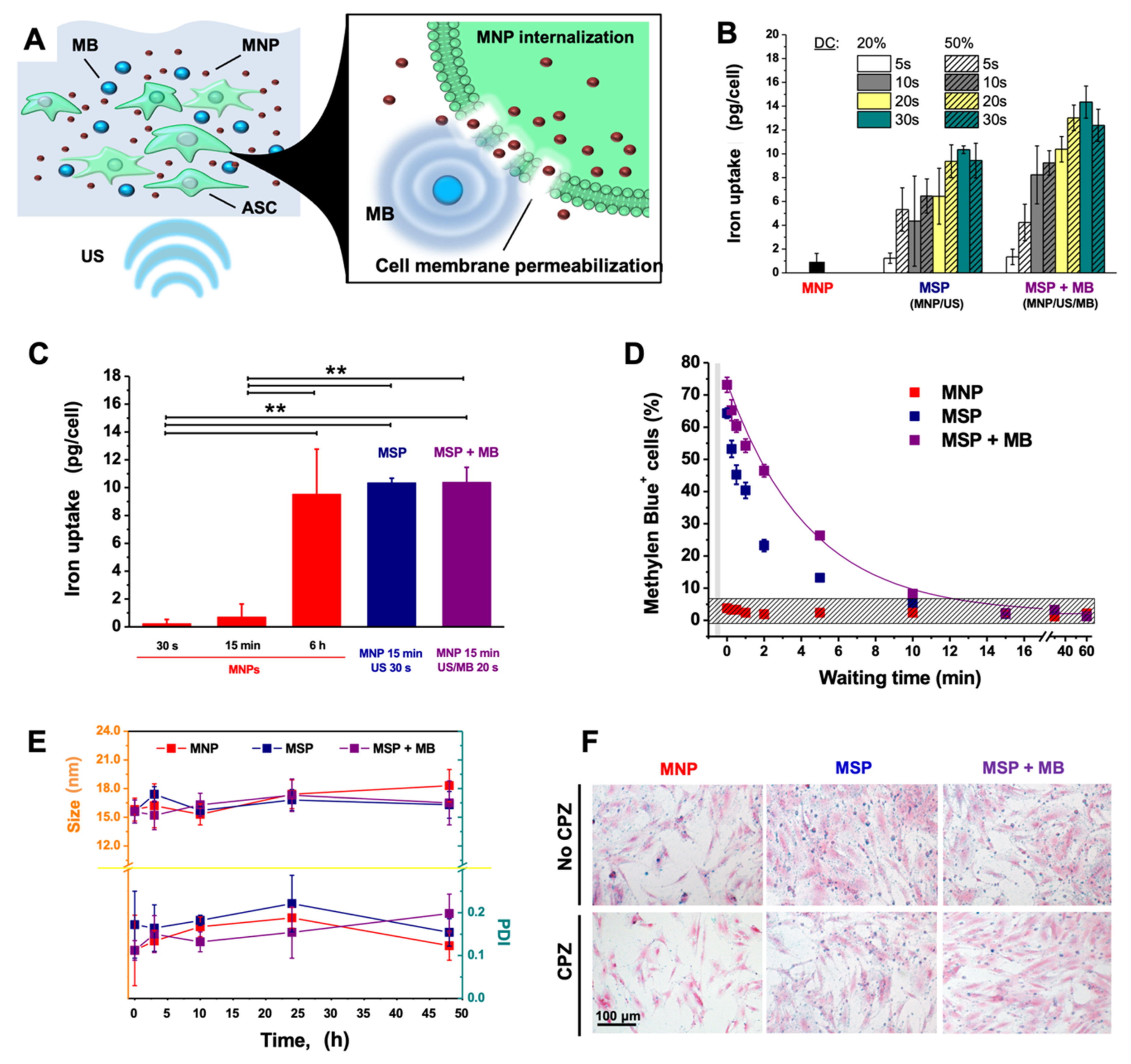 Materials 14 04877 g001