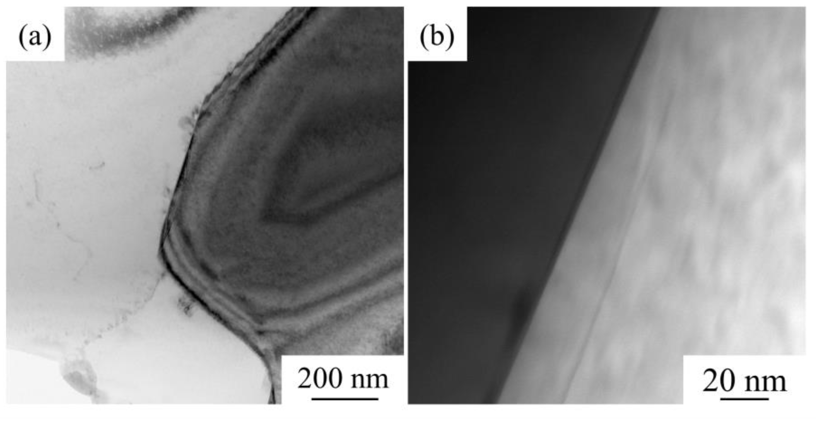 Materials 14 04893 g009