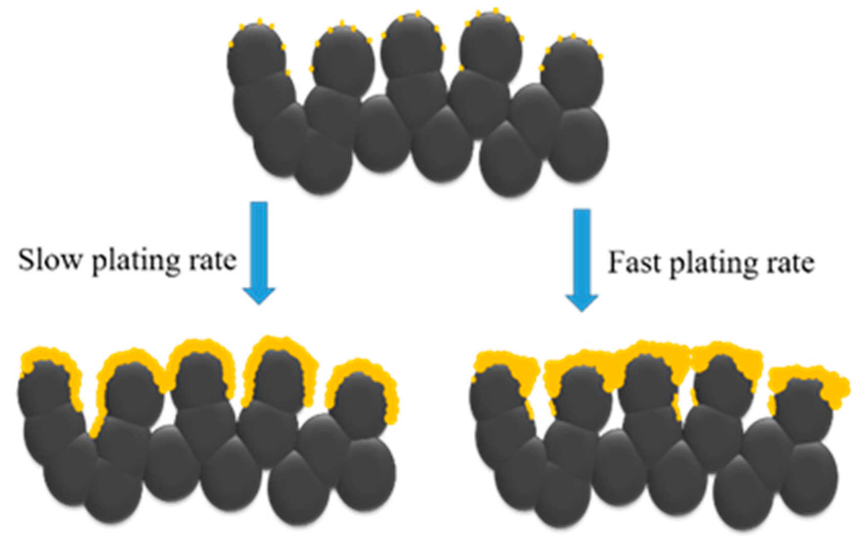 Materials 14 04894 g005