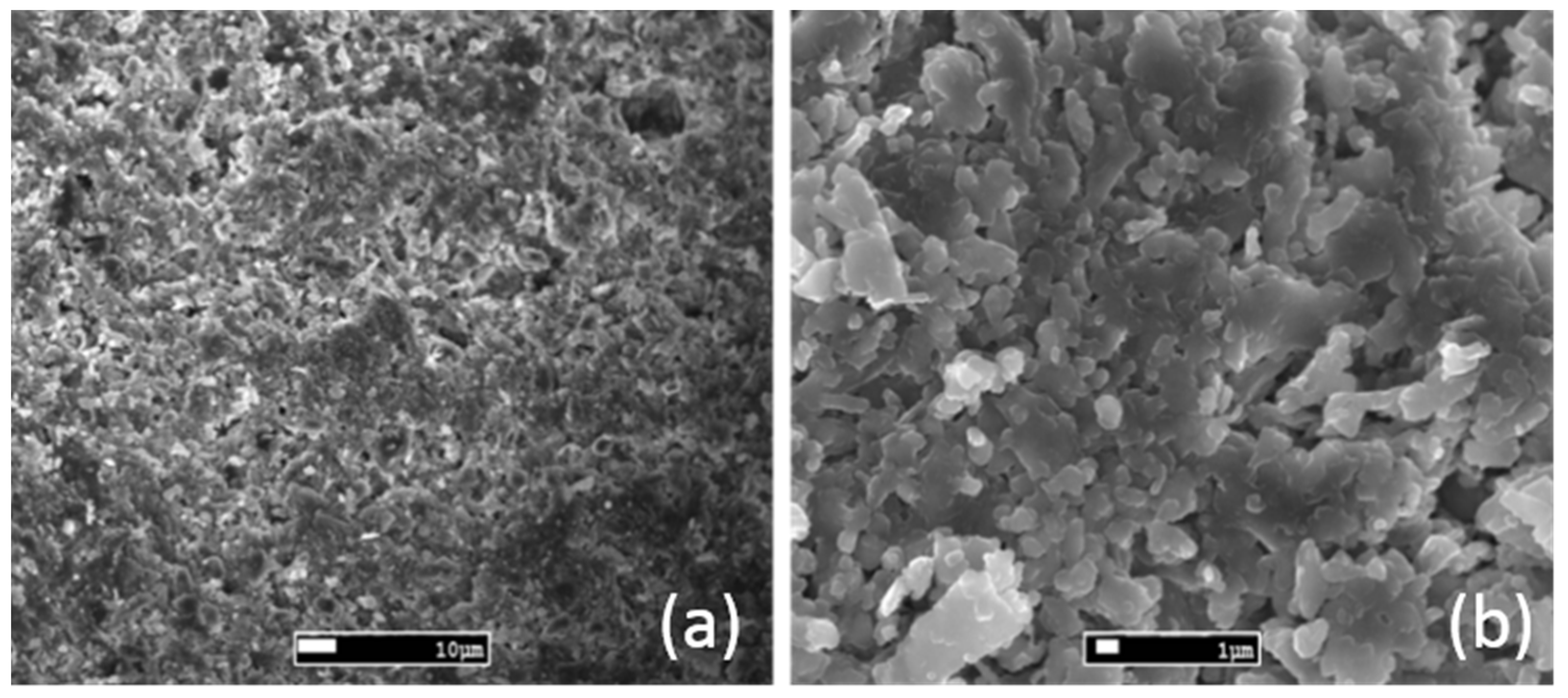 Materials 14 04897 g002