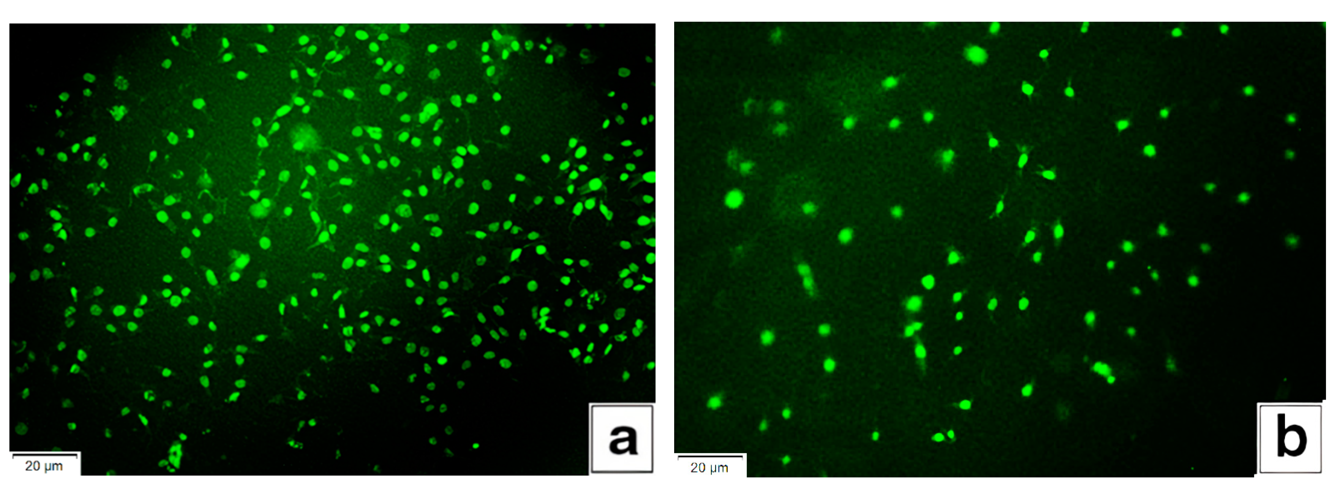 Materials 14 04900 g006