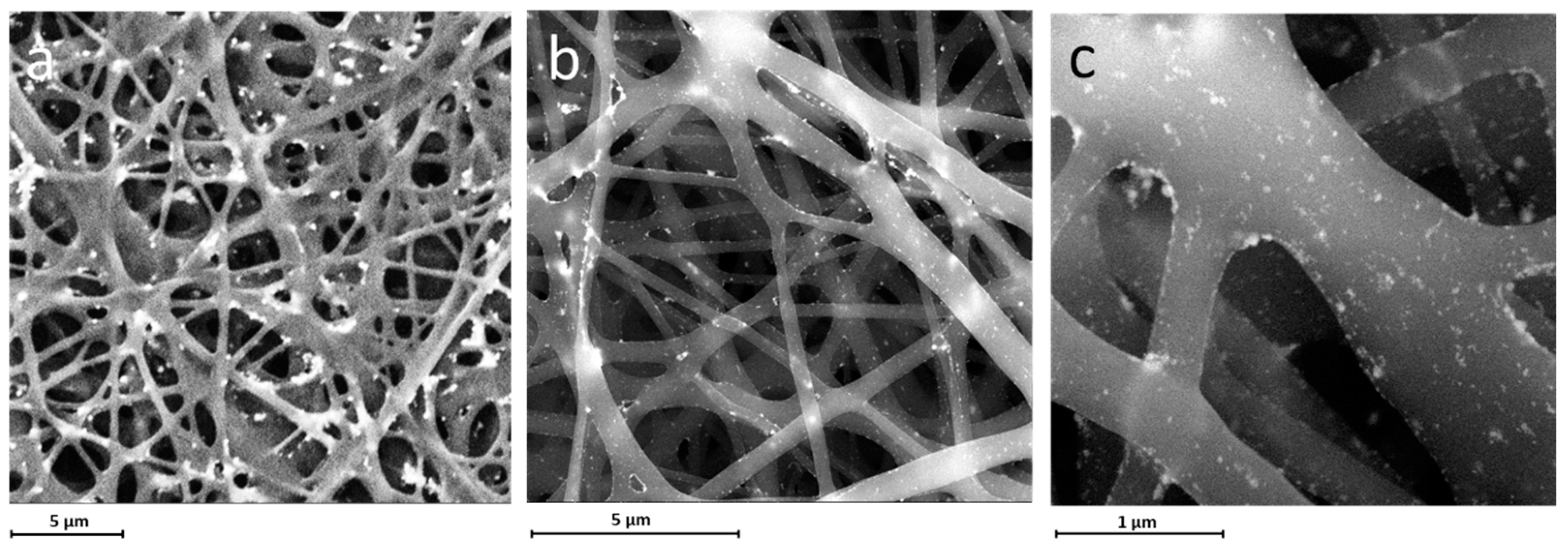 Materials 14 04907 g005