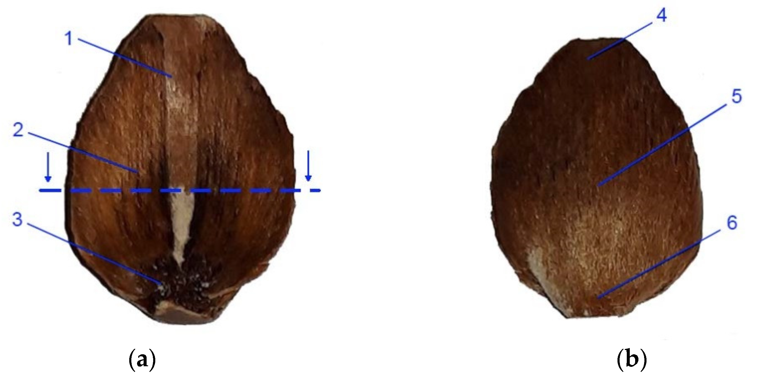 Materials 14 04913 g002