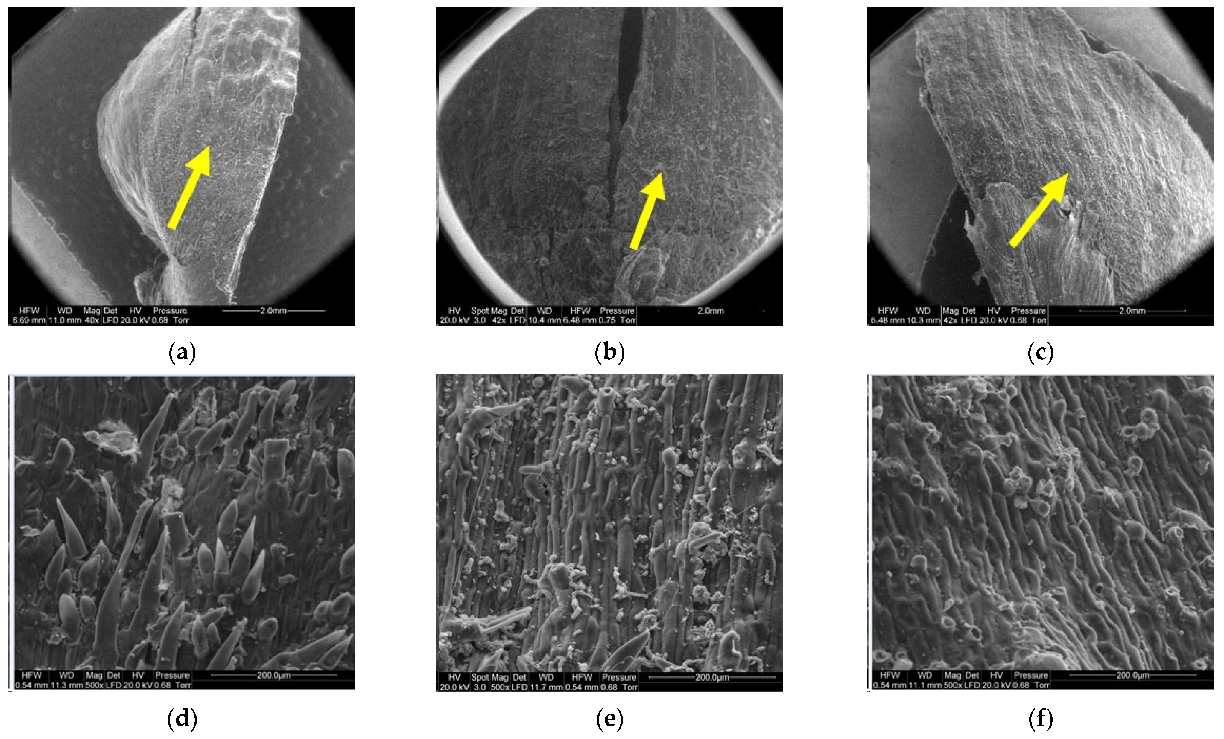 Materials 14 04913 g012