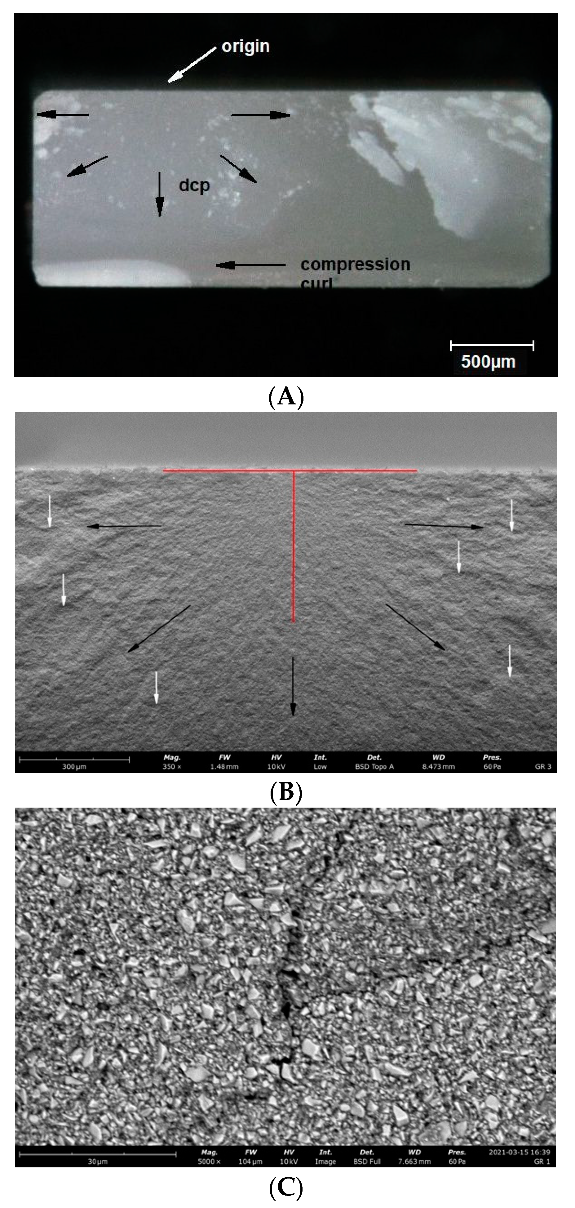 Materials 14 04919 g004a 550