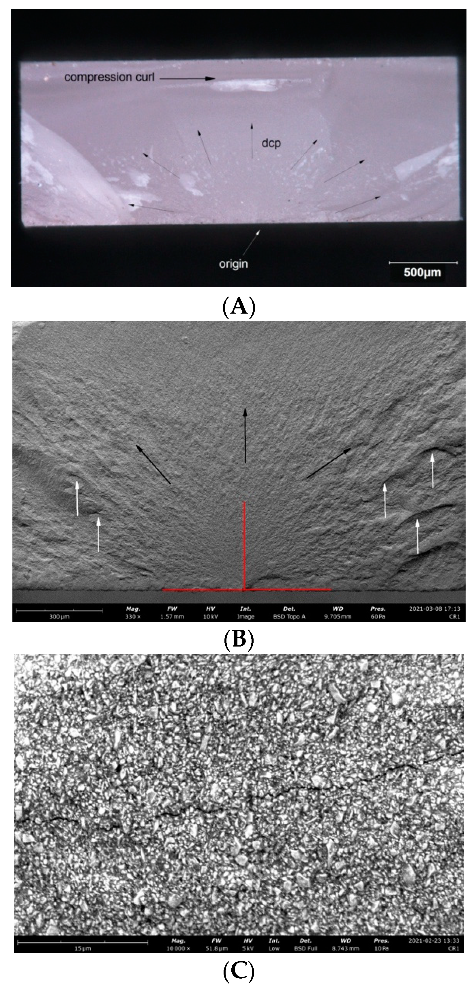 Materials 14 04919 g005a 550