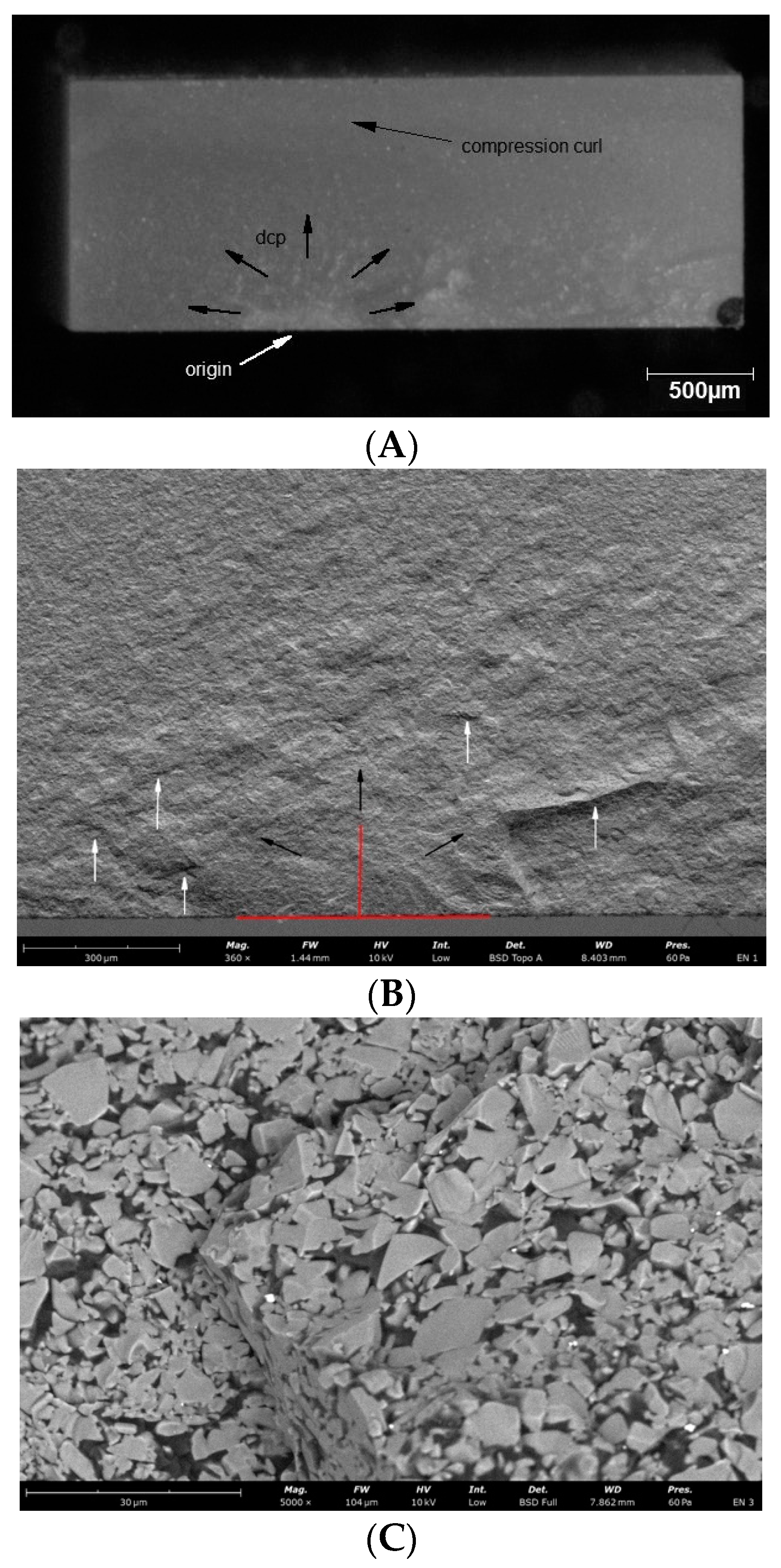 Materials 14 04919 g006a 550