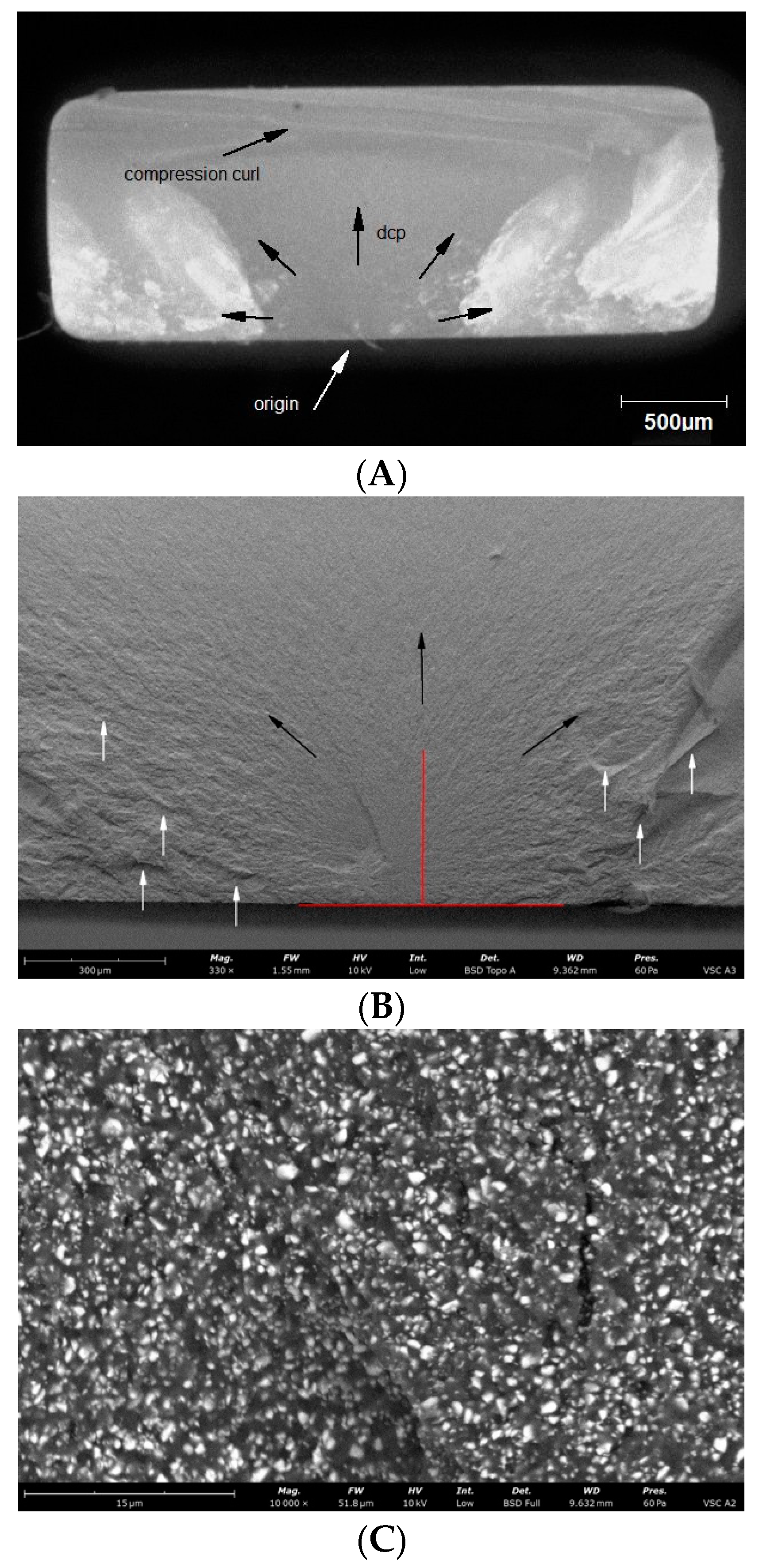 Materials 14 04919 g007a 550