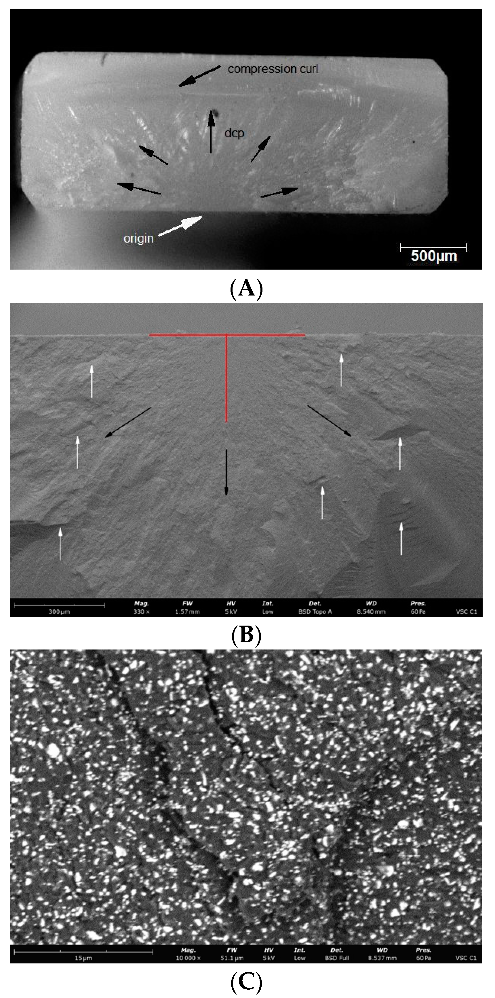 Materials 14 04919 g008a 550