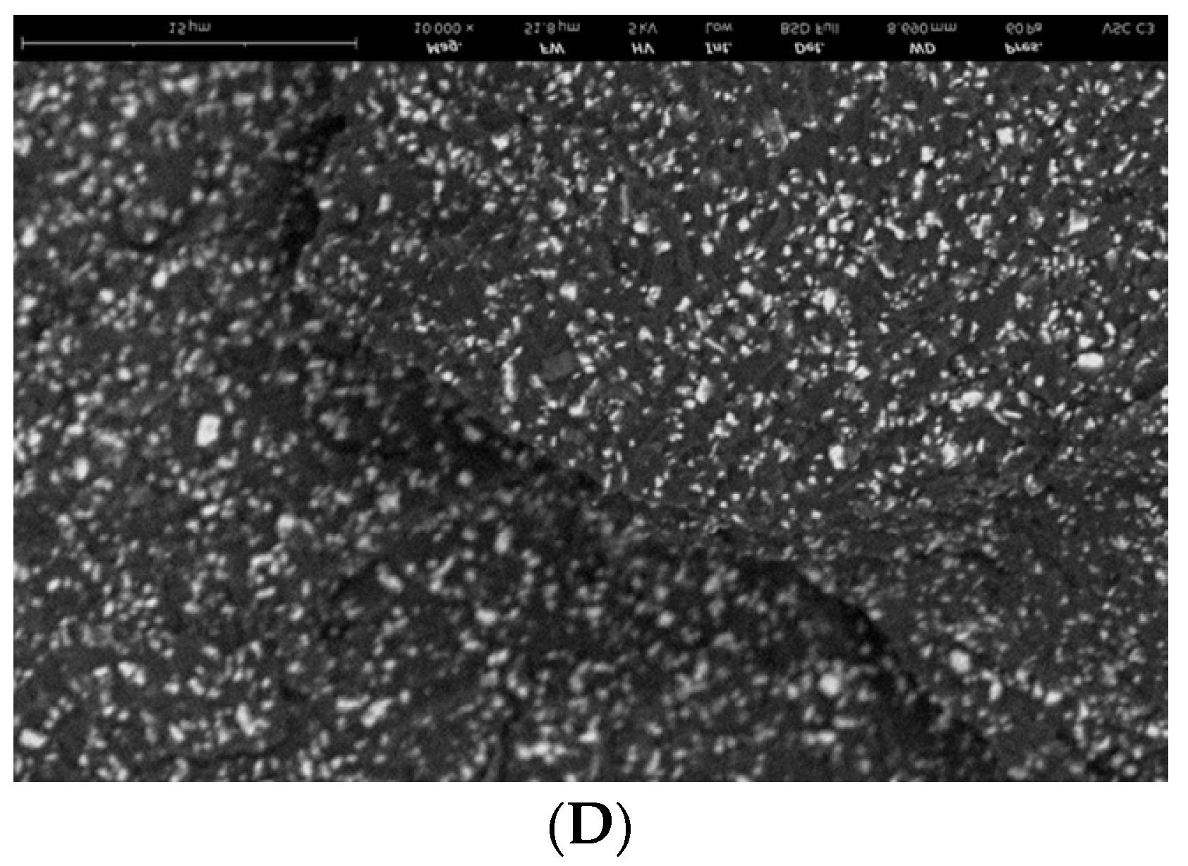 Materials 14 04919 g008b 550