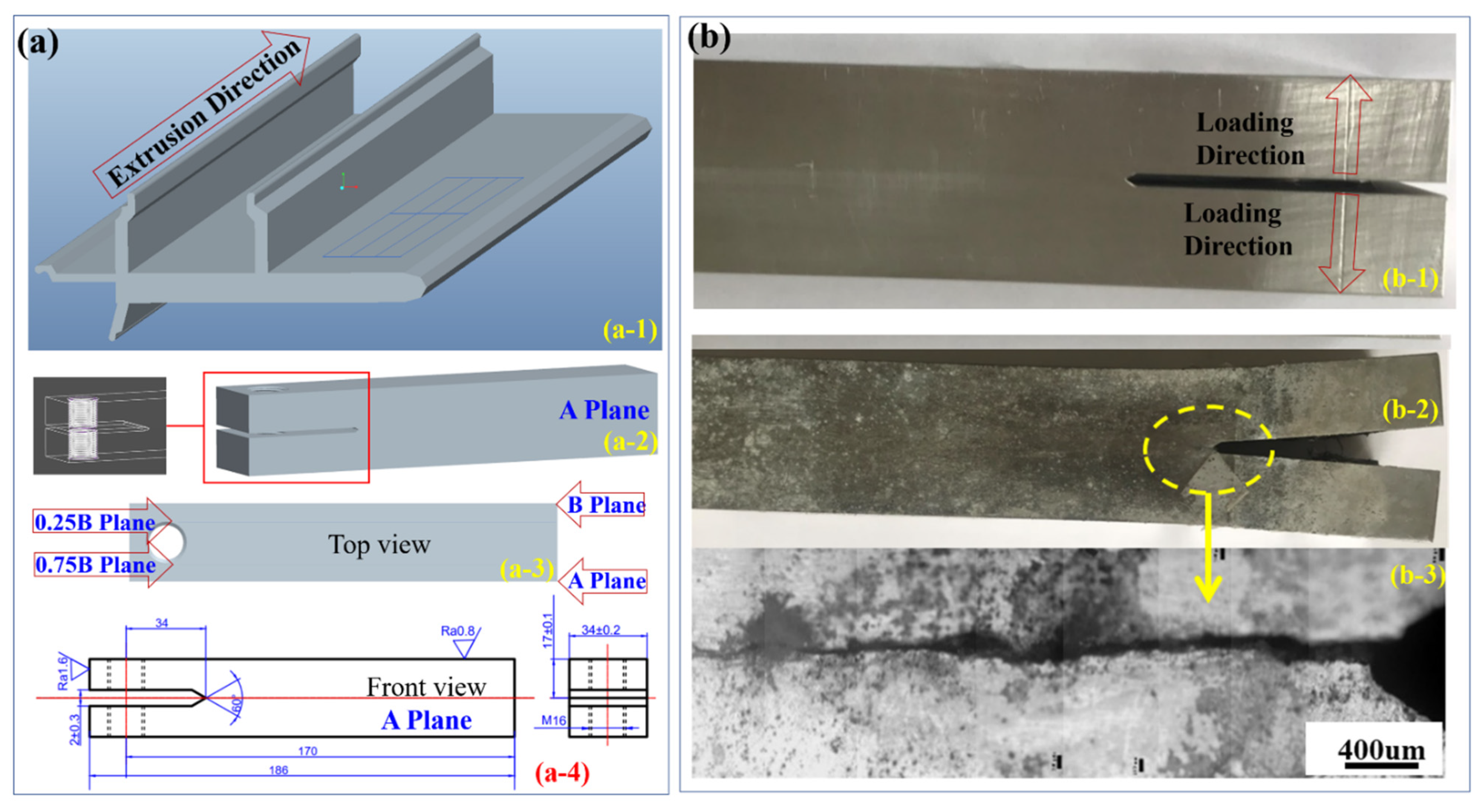 Materials 14 04924 g001