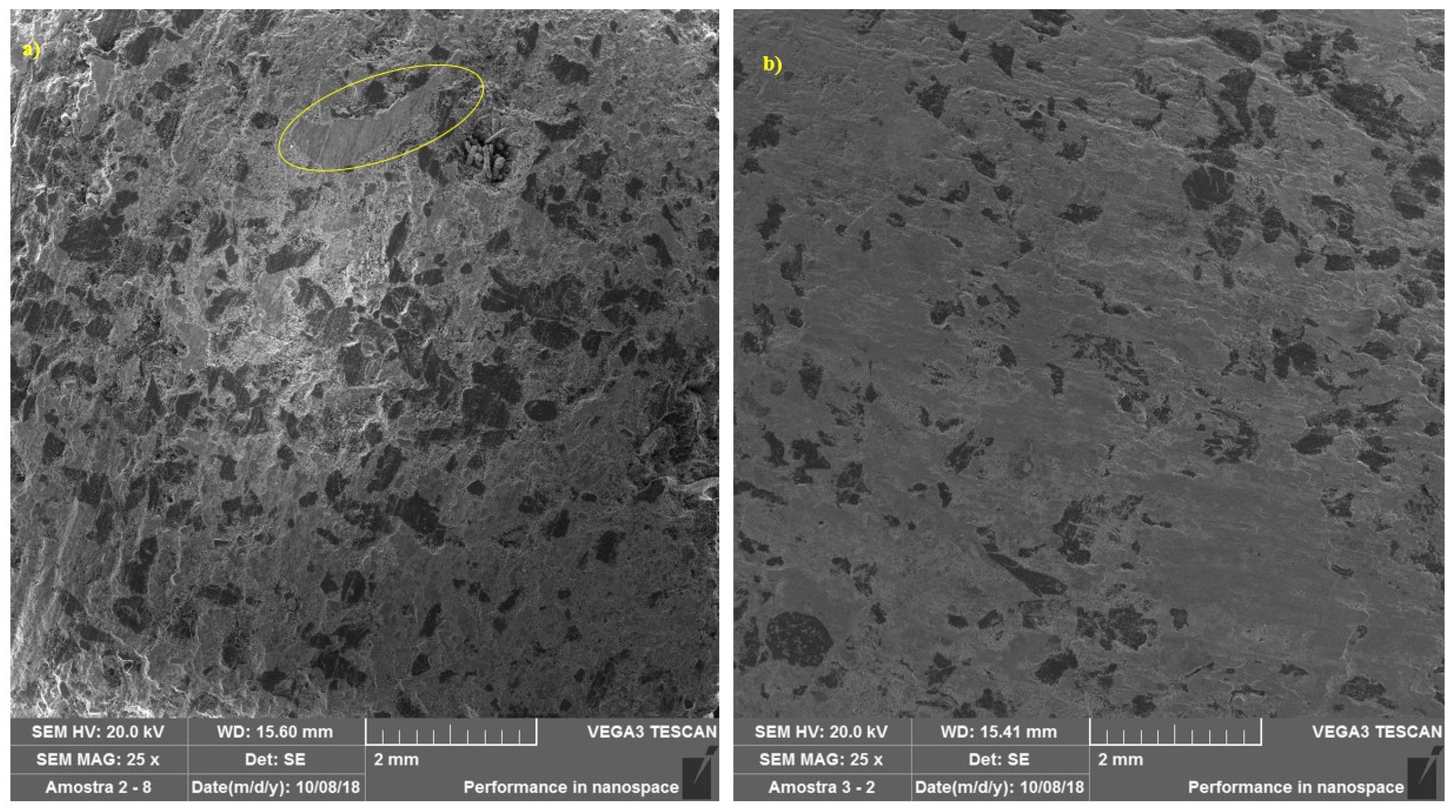 Materials 14 04931 g007 550