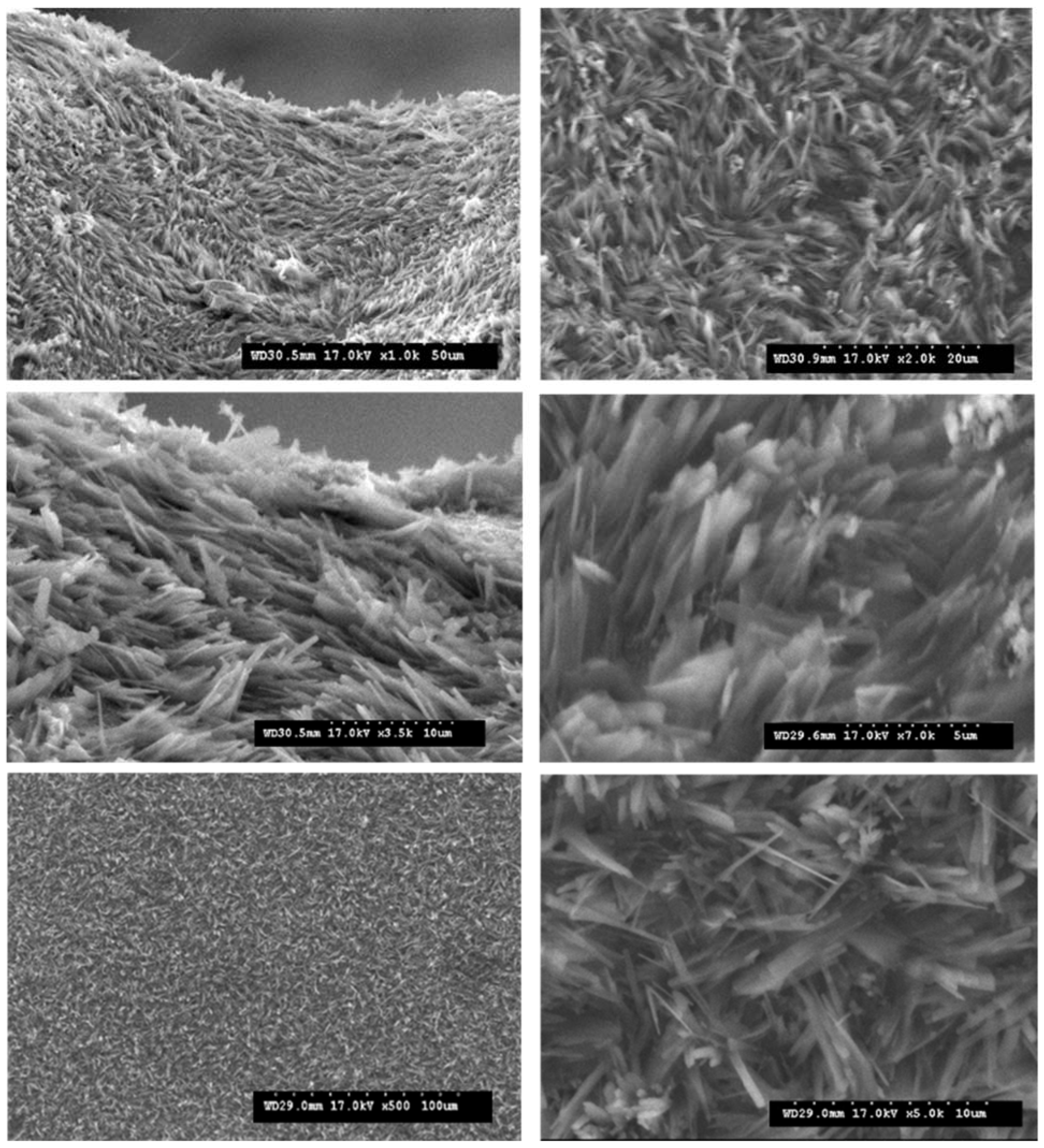 Materials 14 04932 g008