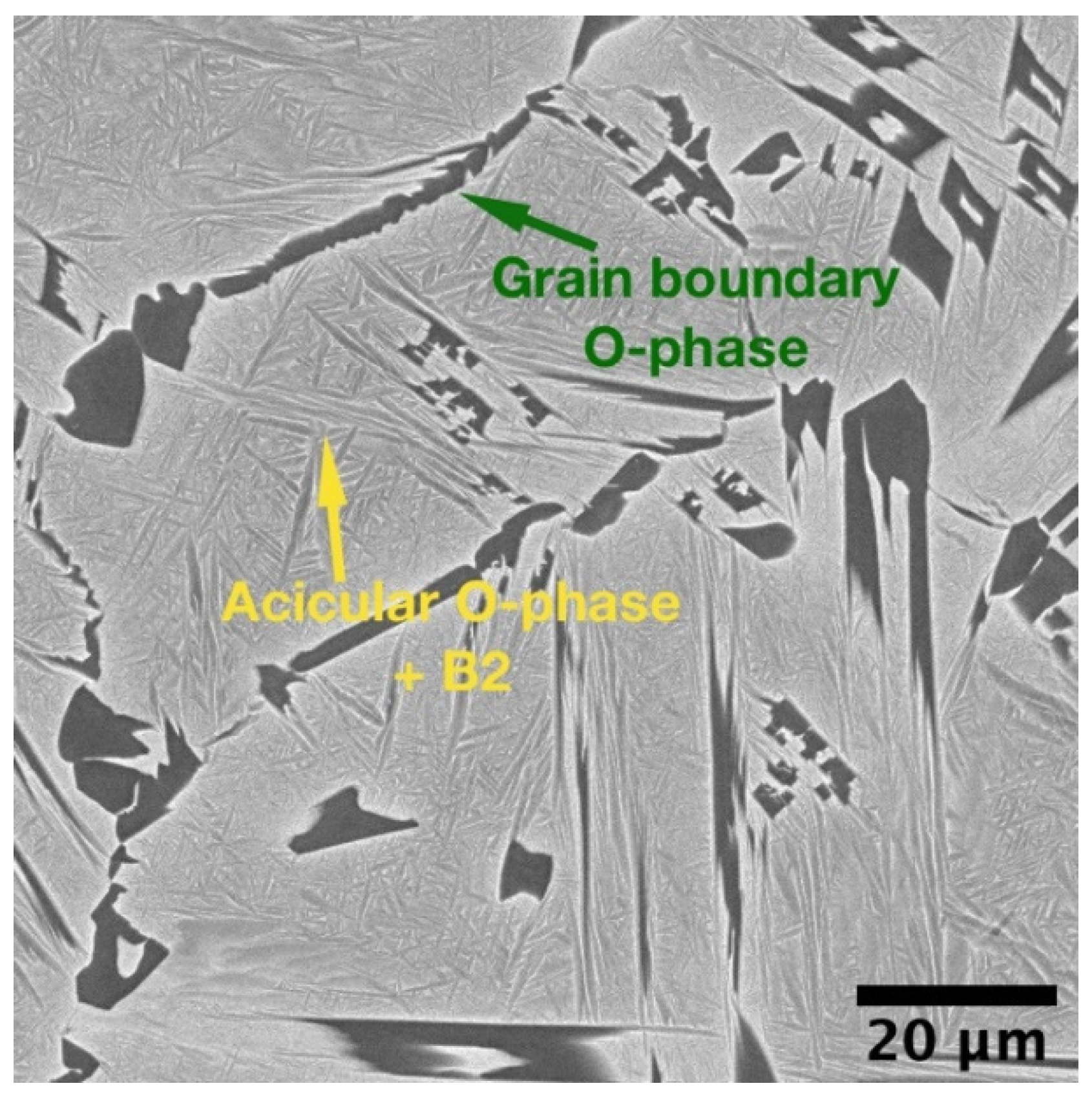 Materials 14 04946 g005 550