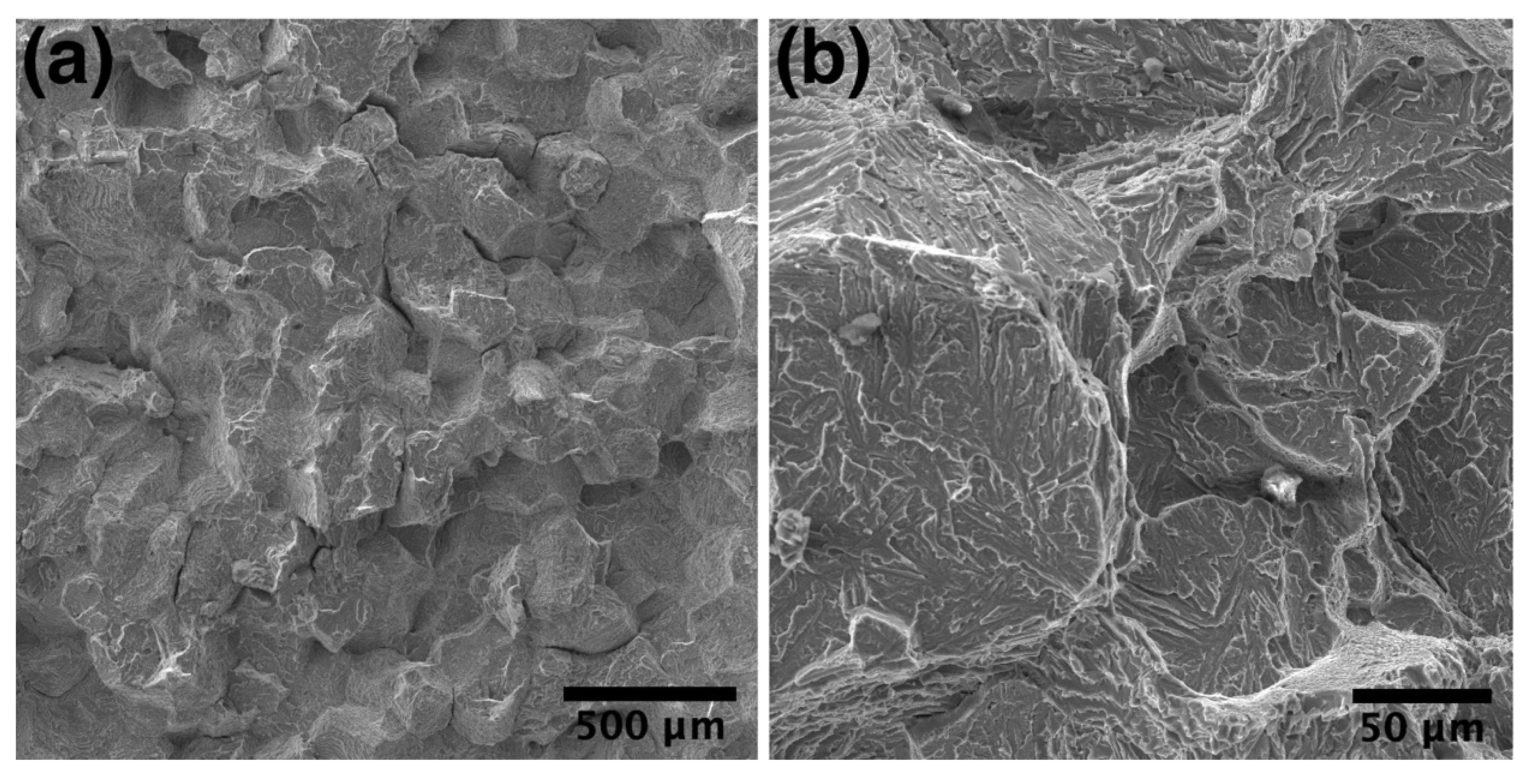 Materials 14 04946 g006 550