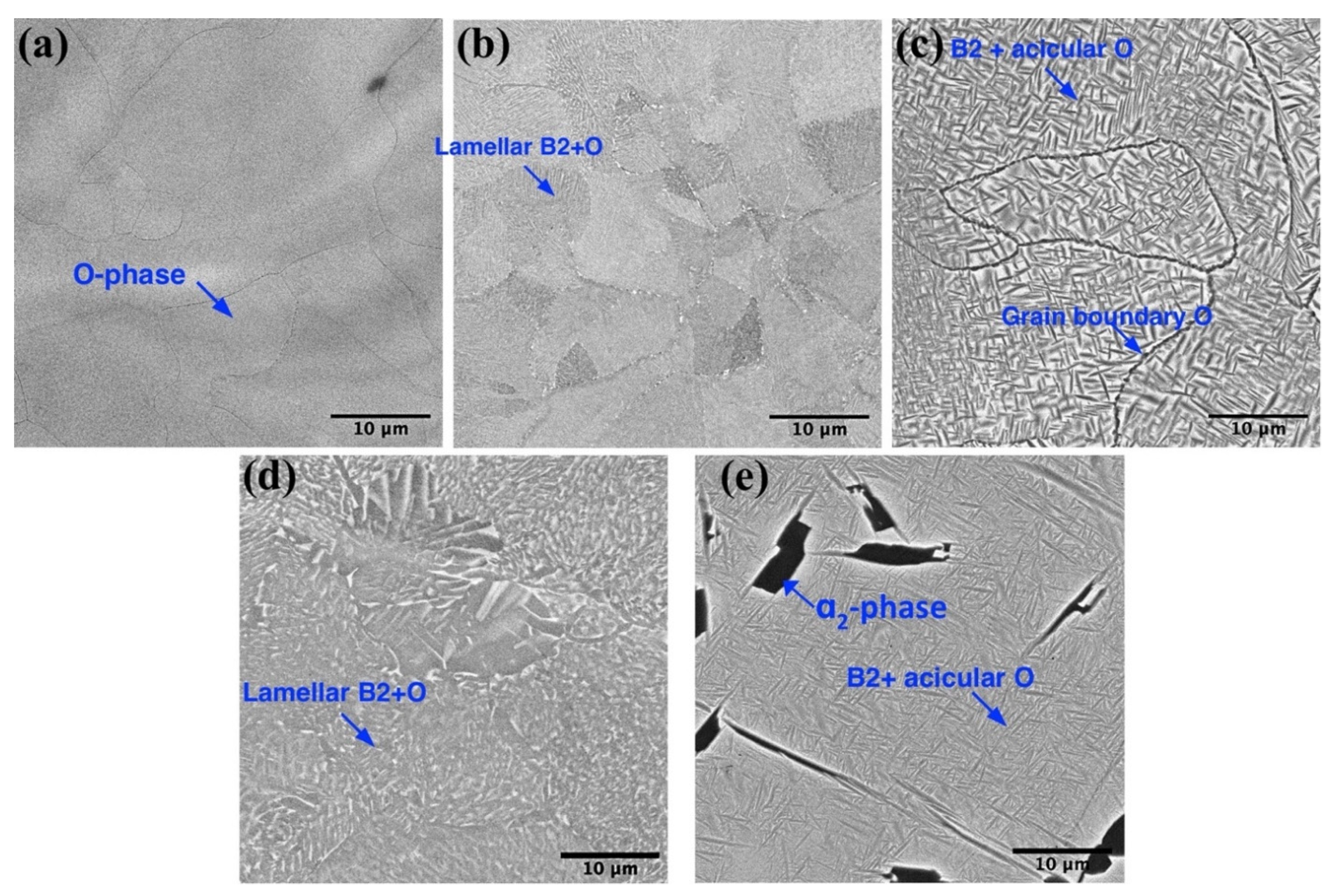 Materials 14 04946 g007 550