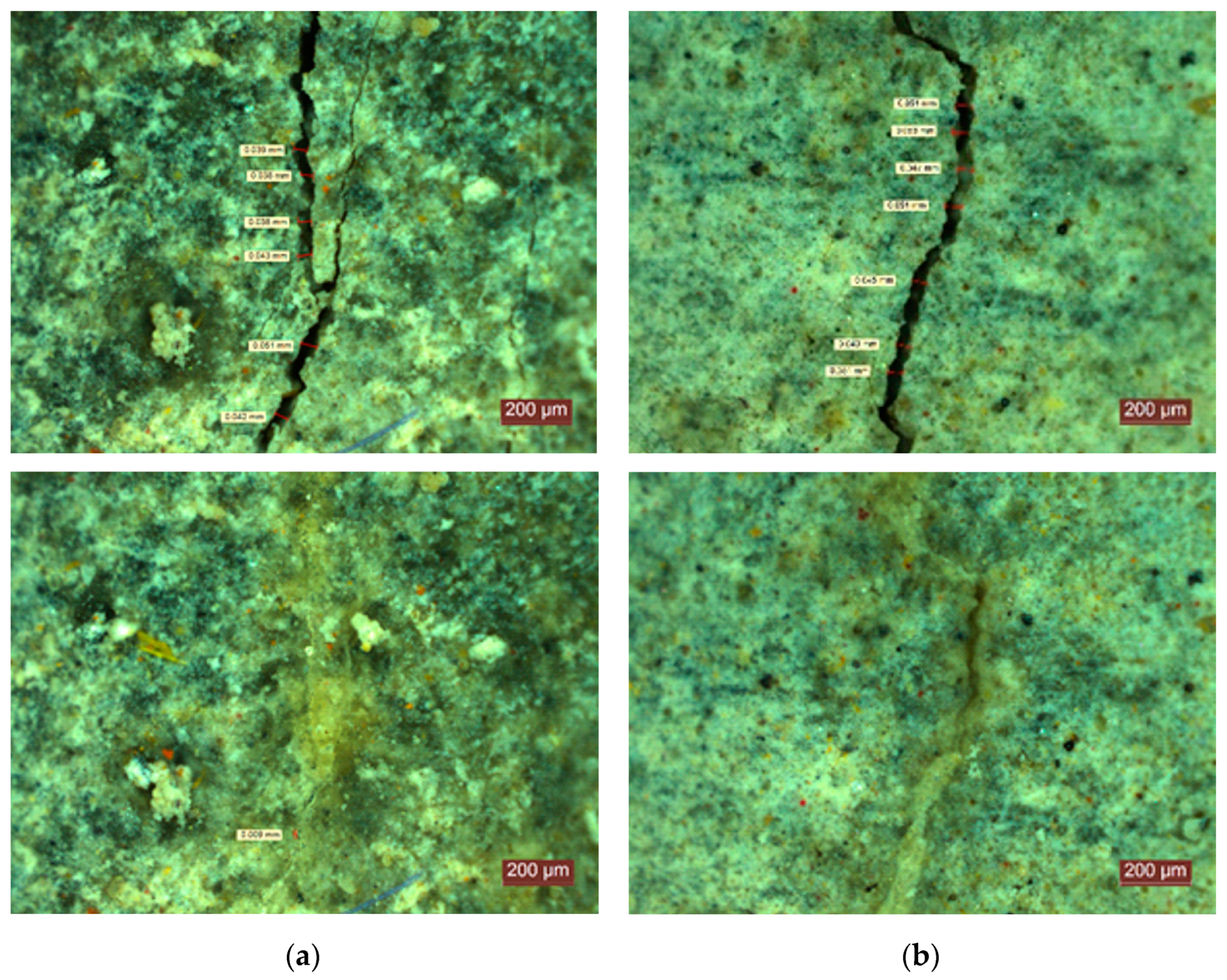 Materials 14 04951 g007