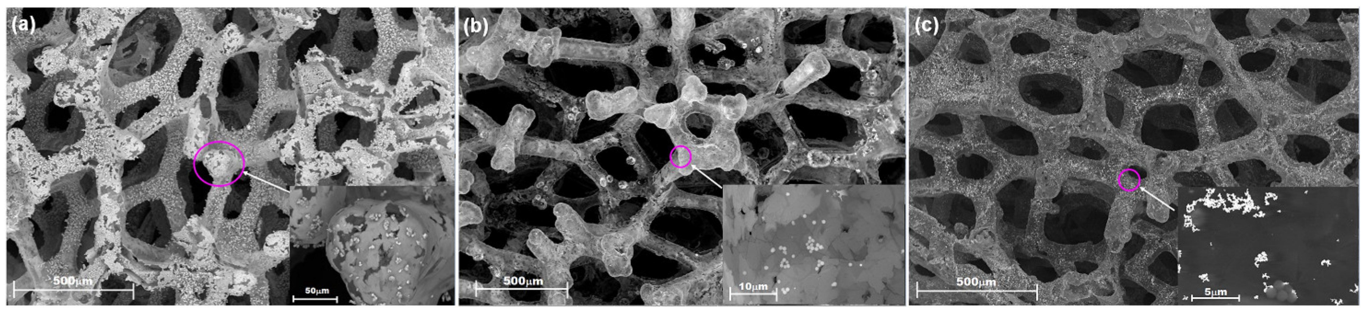 Materials 14 04952 g003