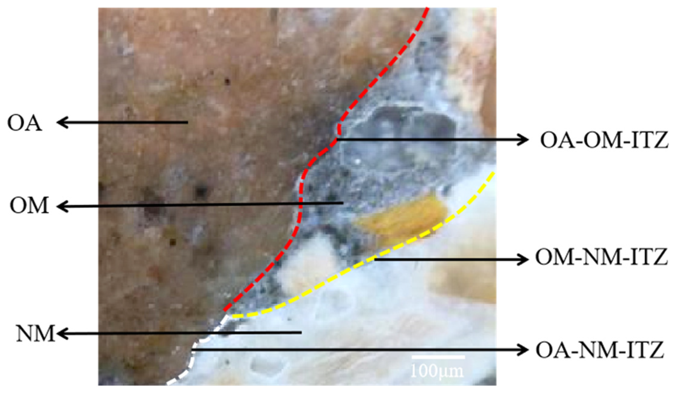 Materials 14 04960 g006