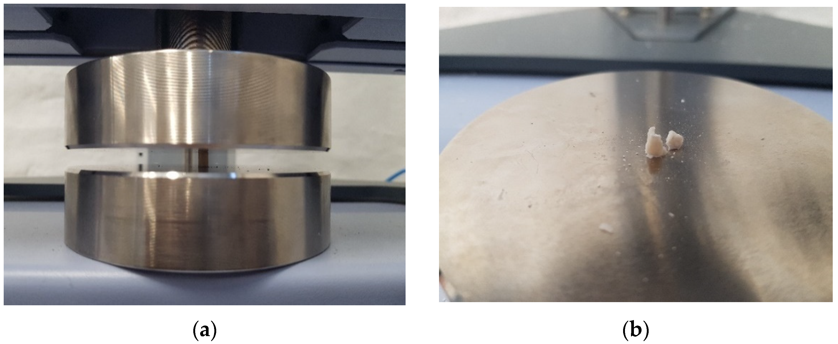 Materials 14 04964 g002 550