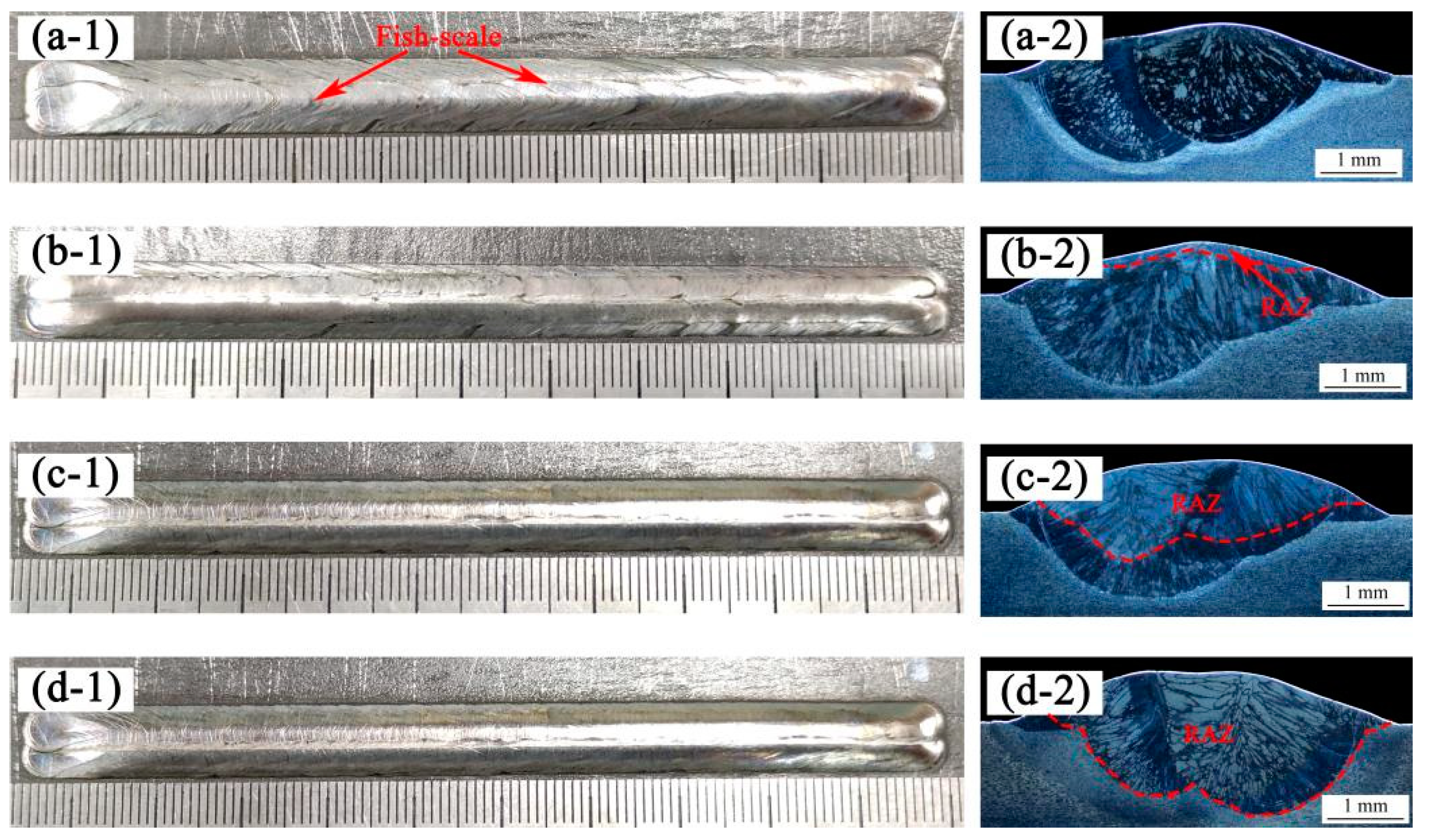 Materials 14 04965 g004 550