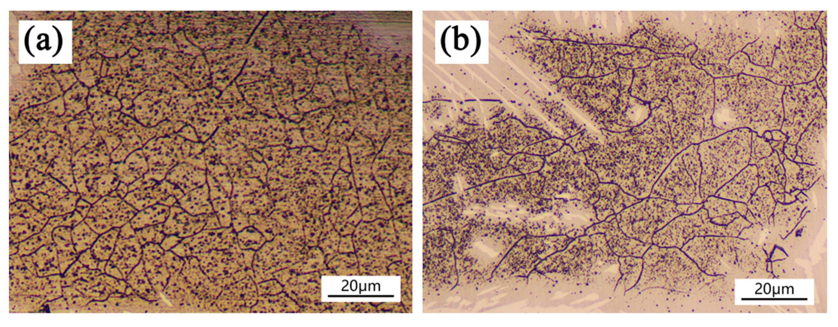 Materials 14 04965 g007 550