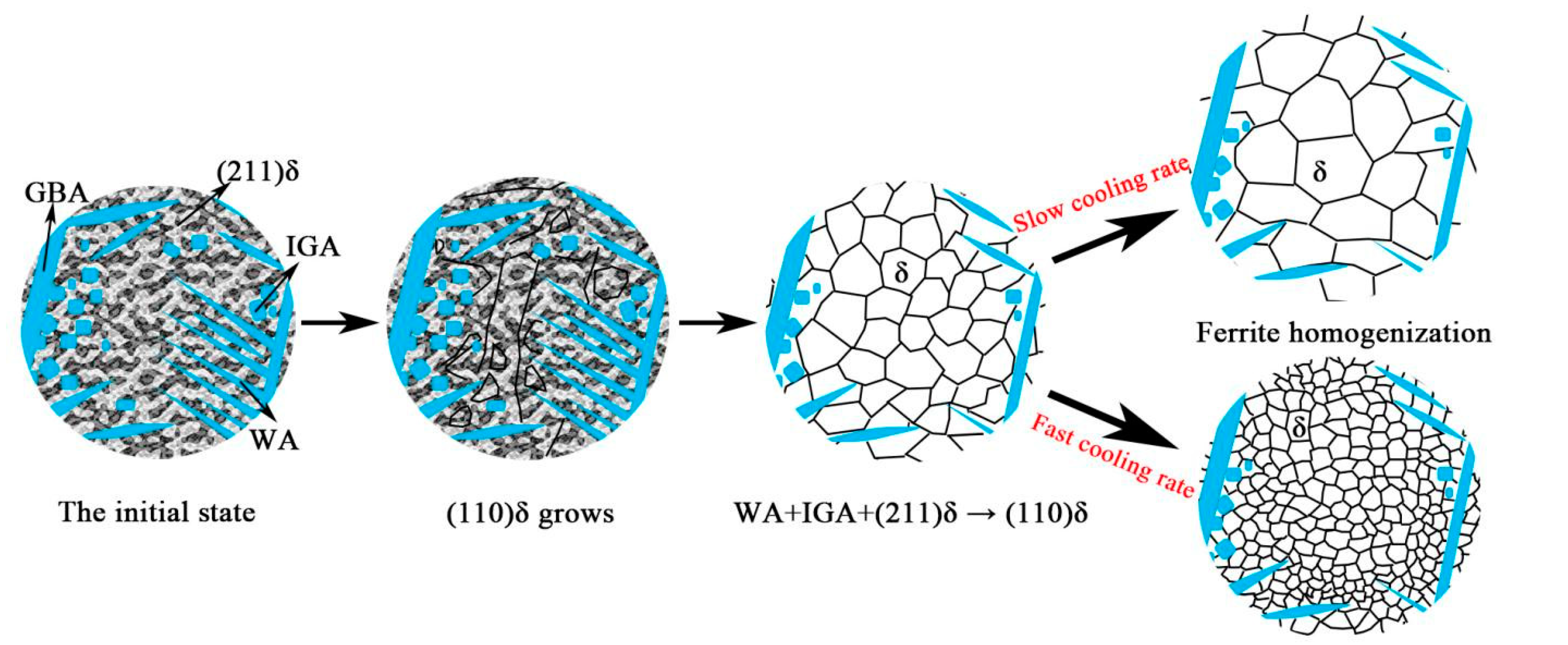 Materials 14 04965 g009 550