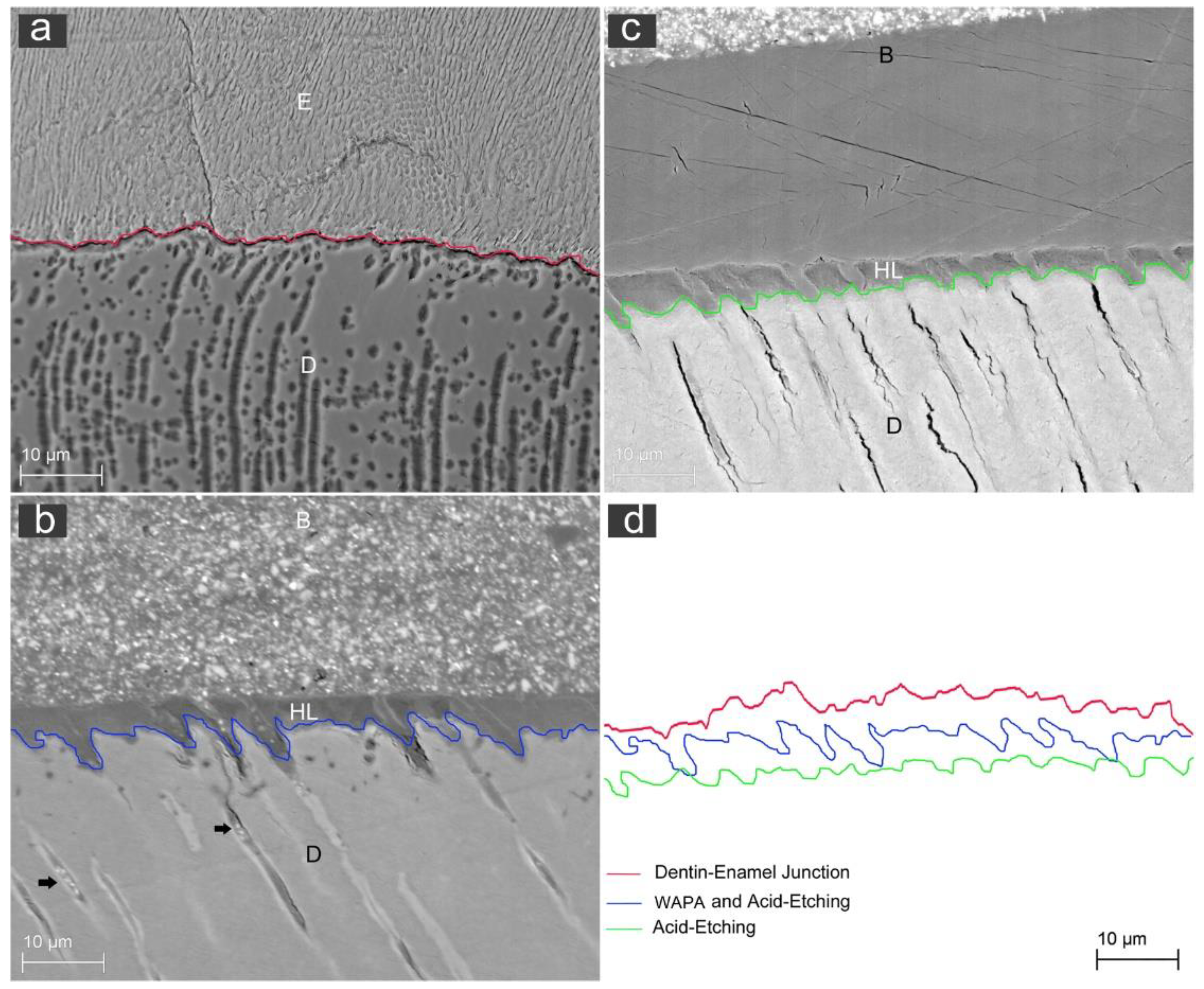 Materials 14 04966 g009