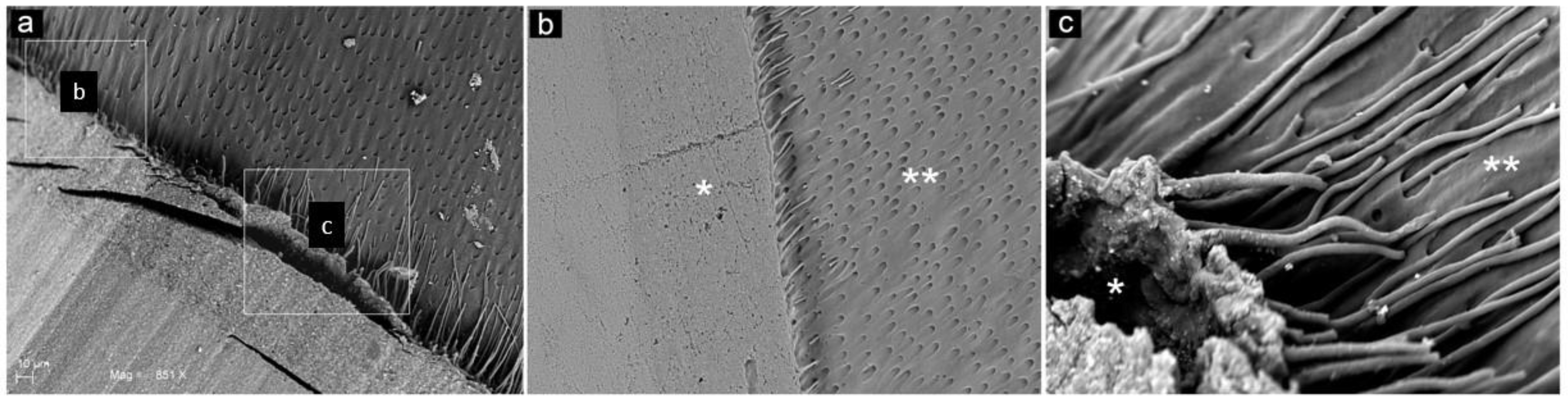 Materials 14 04966 g010
