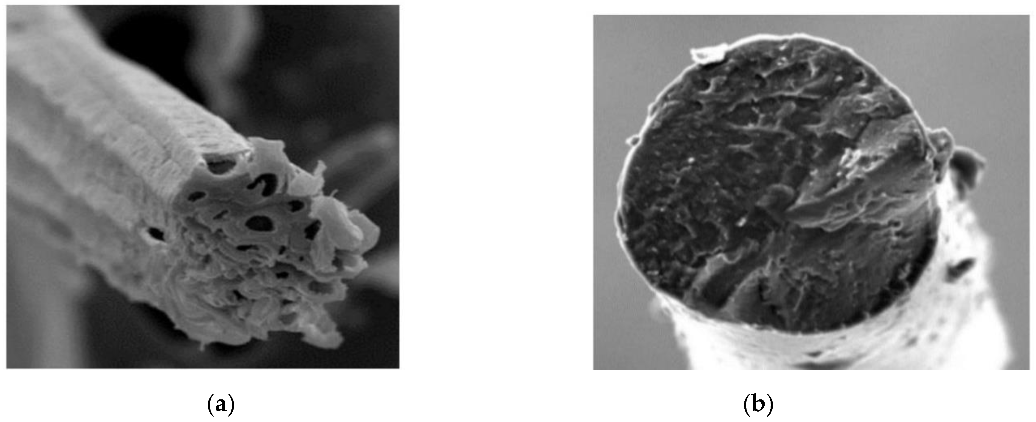 Materials 14 04974 g002 550