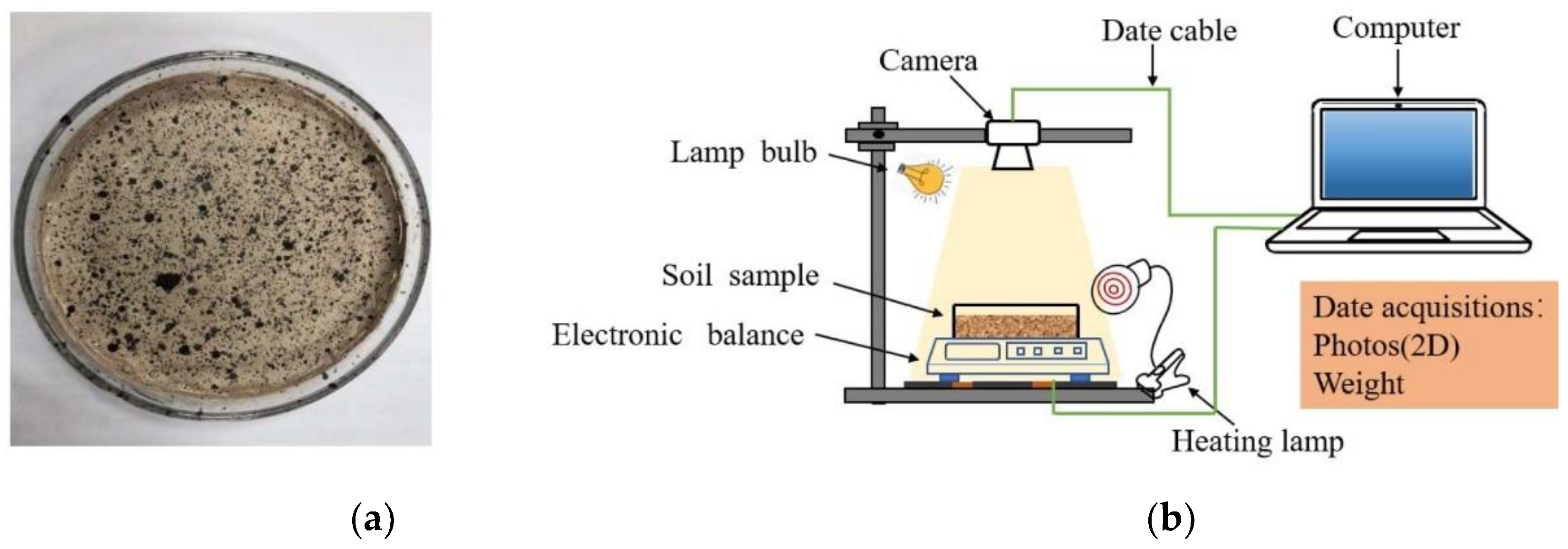 Materials 14 04974 g003 550