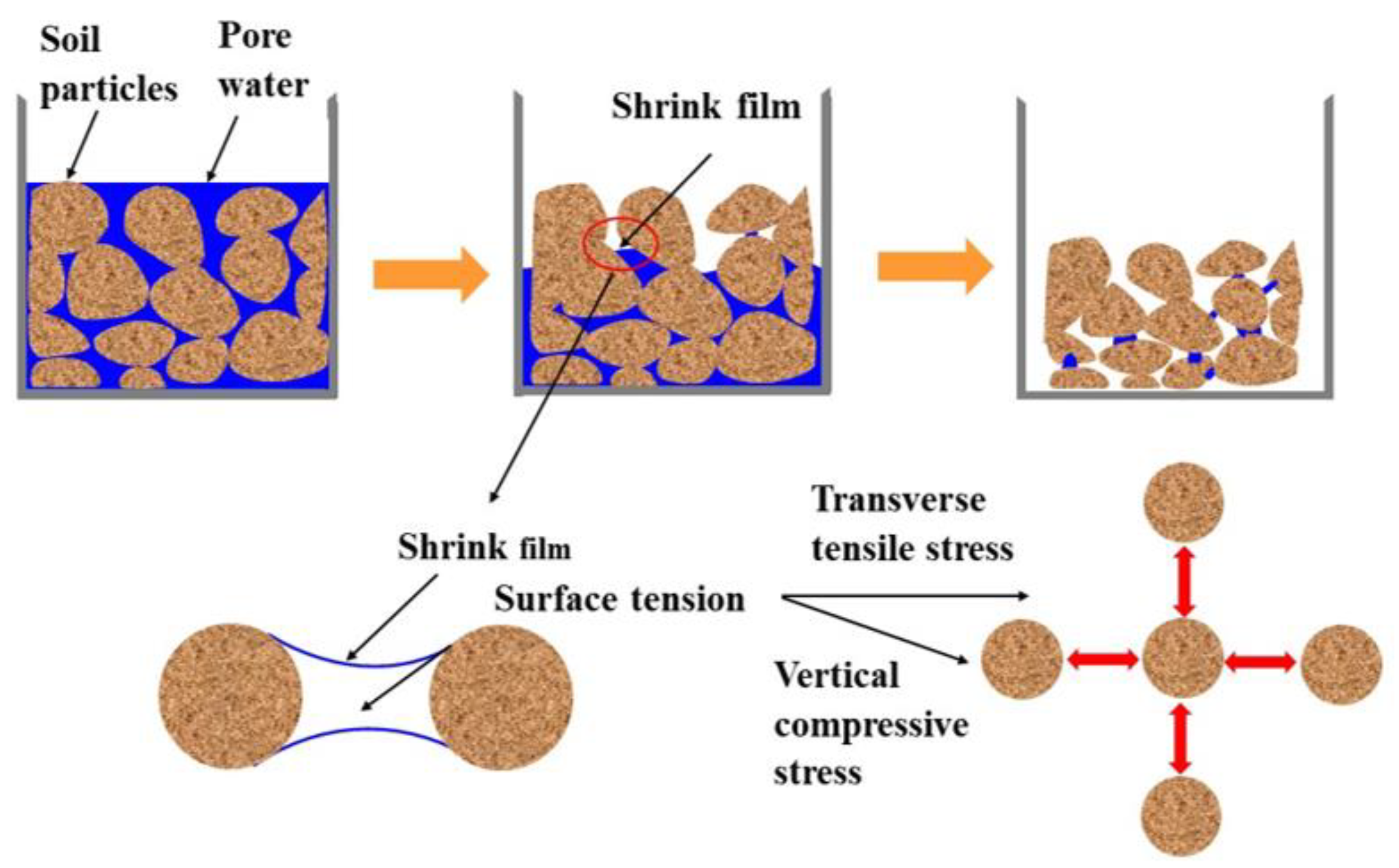 Materials 14 04974 g005 550