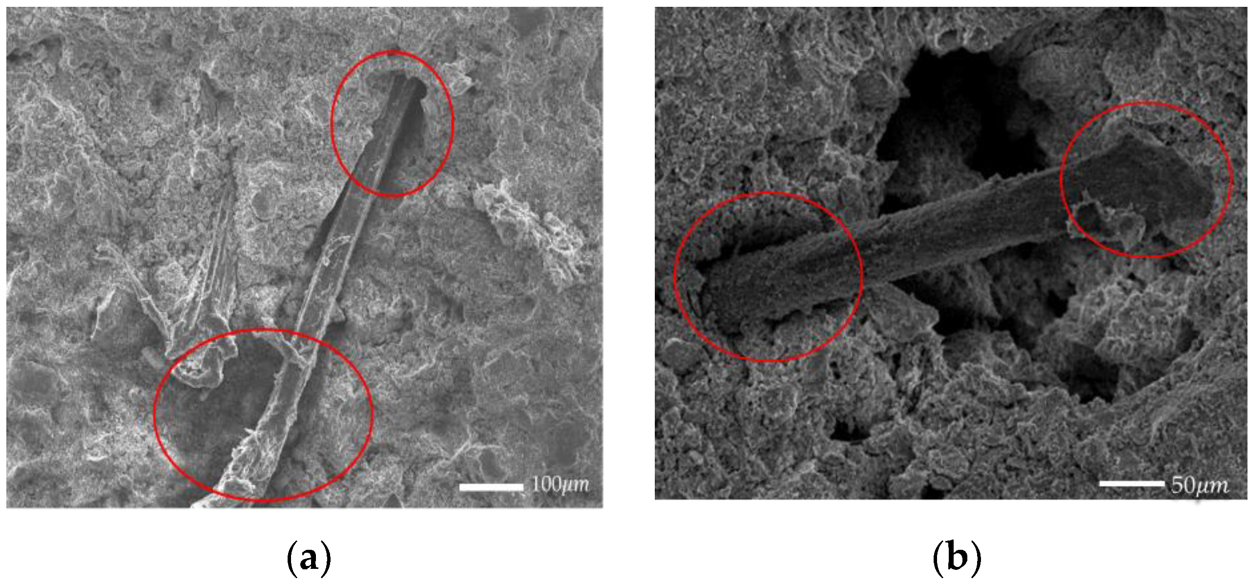 Materials 14 04974 g010 550