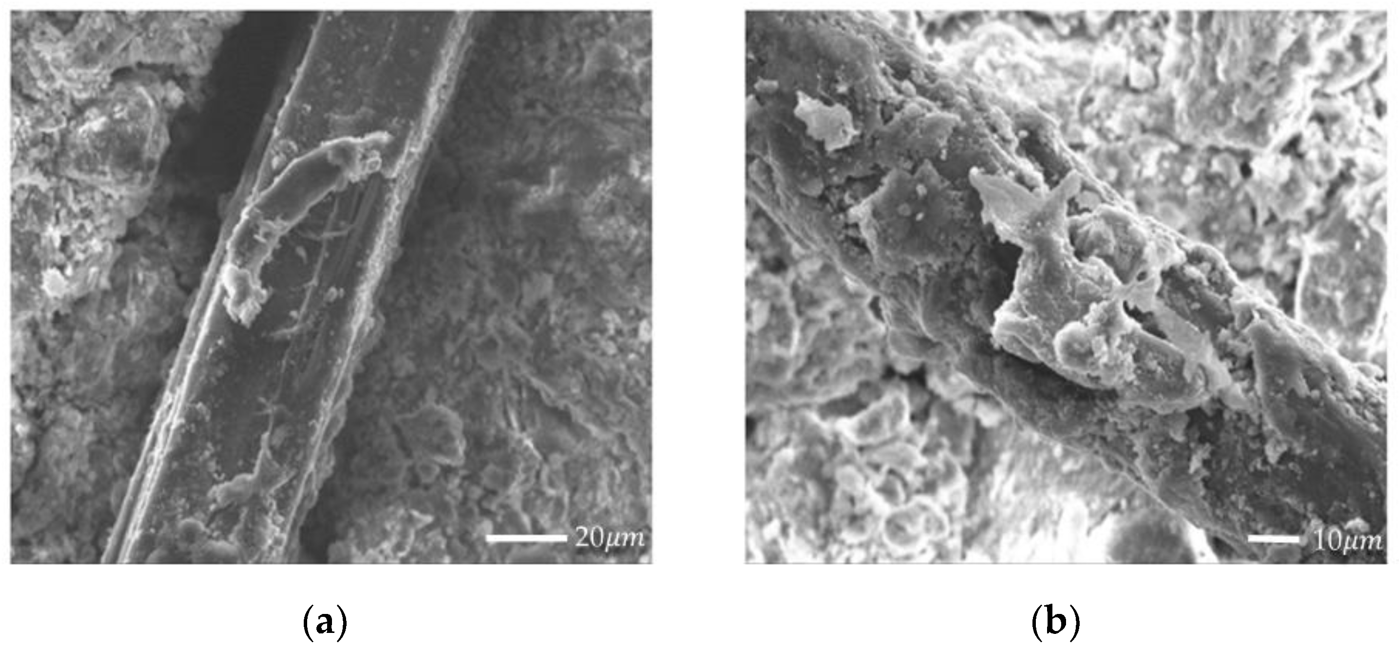 Materials 14 04974 g012 550