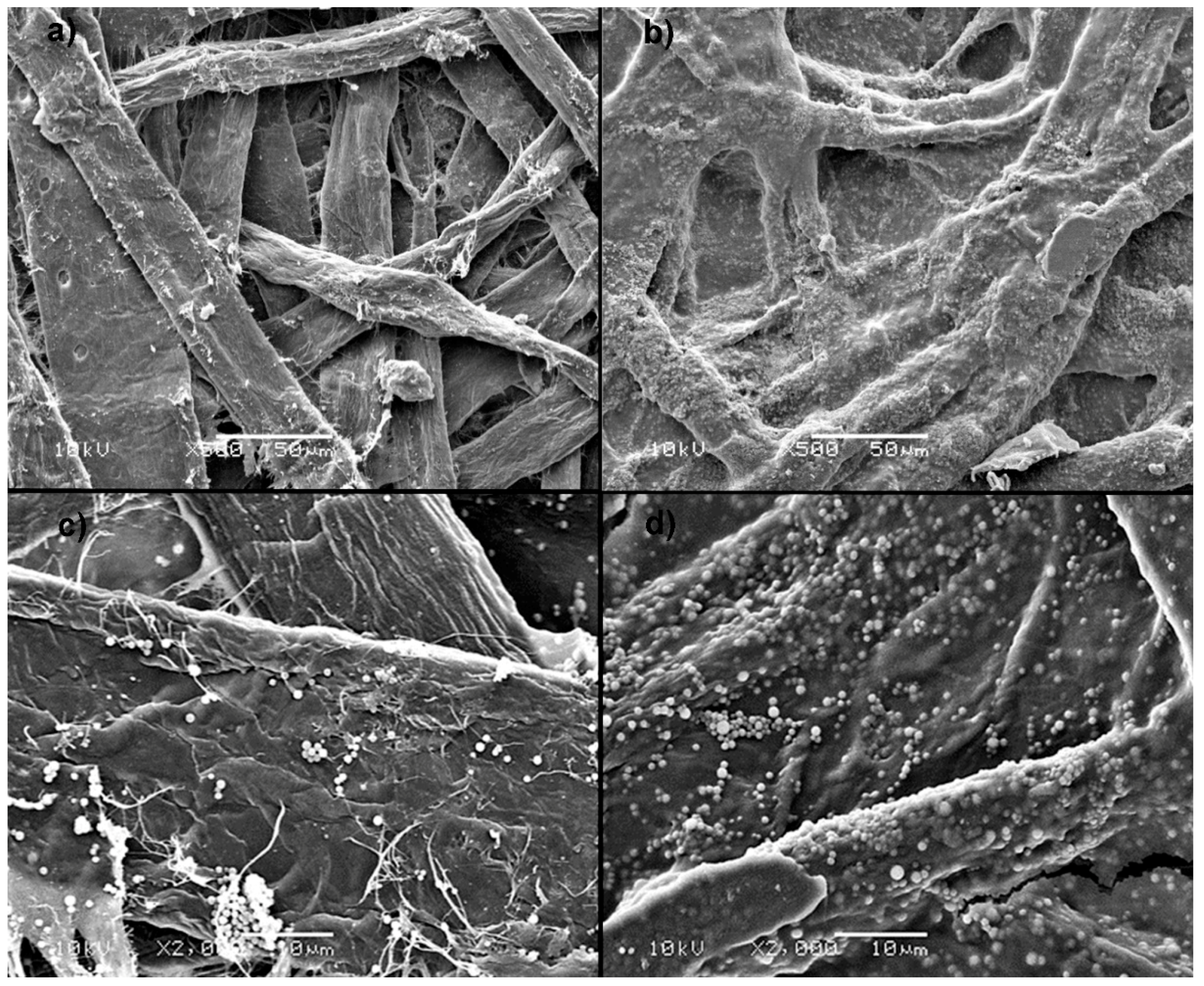 Materials 14 04977 g008