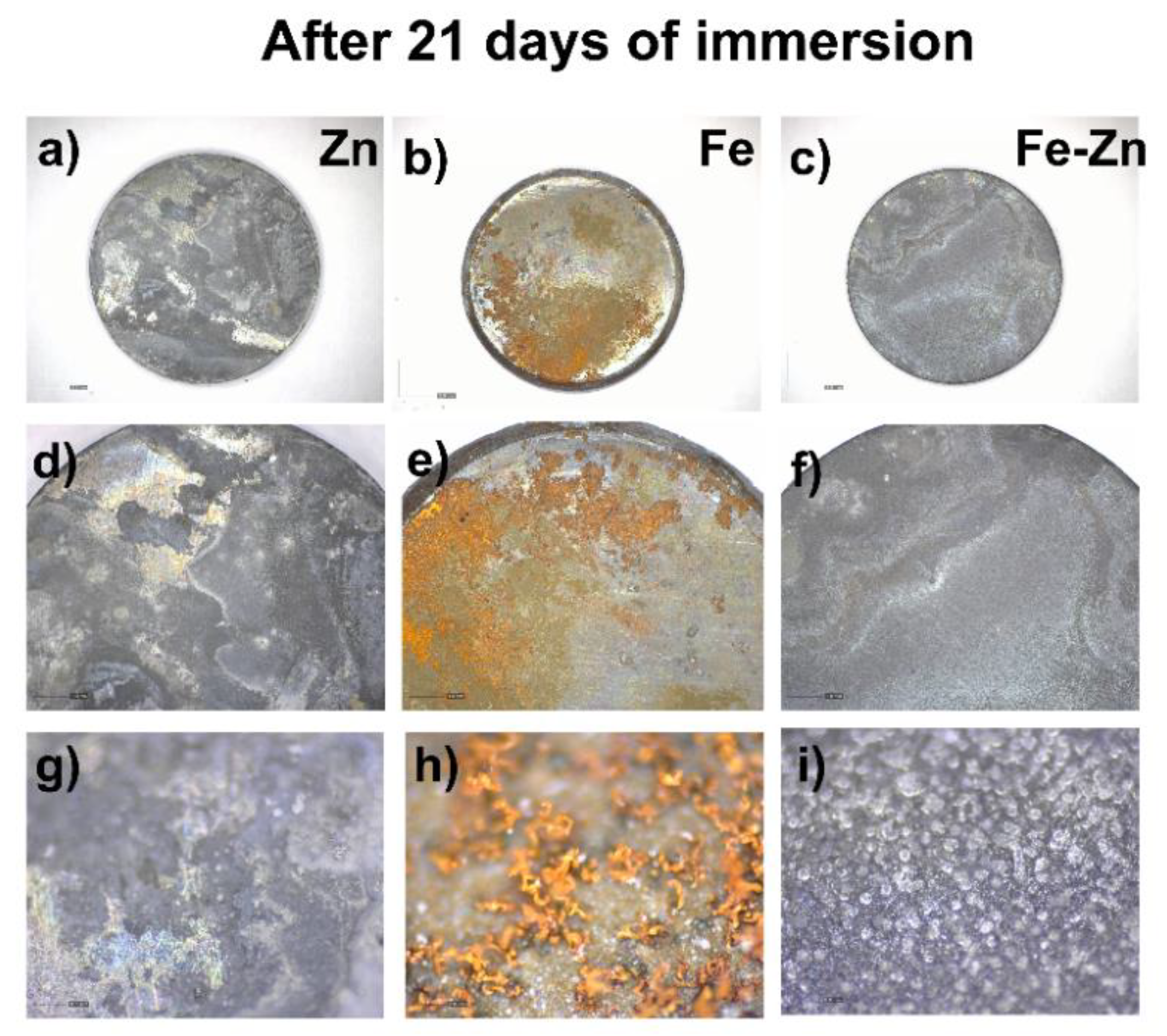 Materials 14 04983 g008