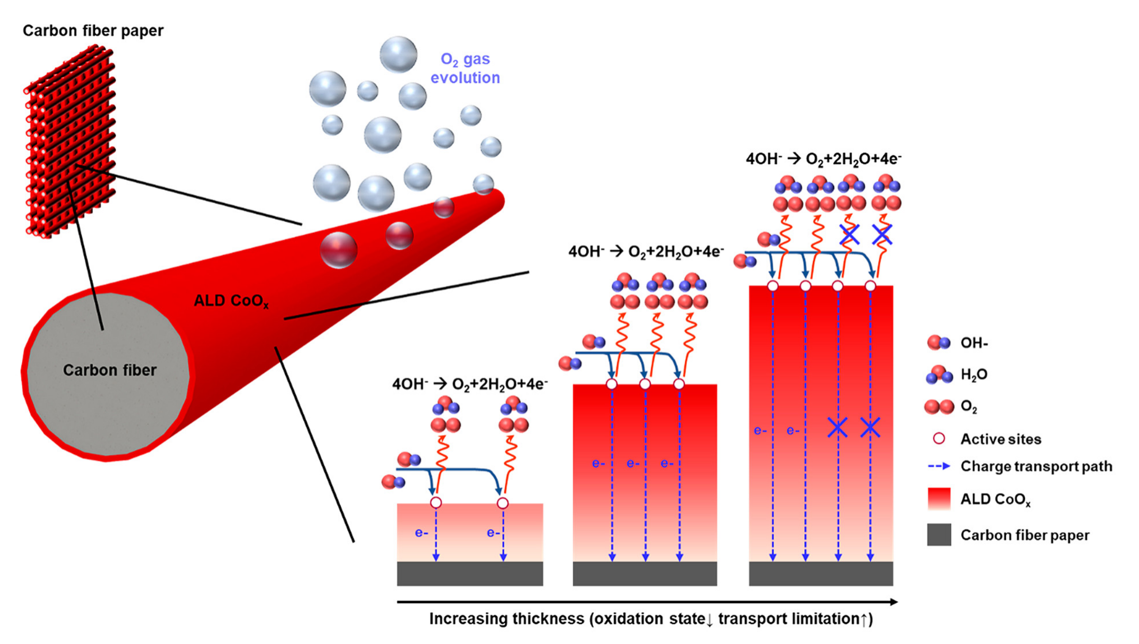 Materials 14 04984 g010
