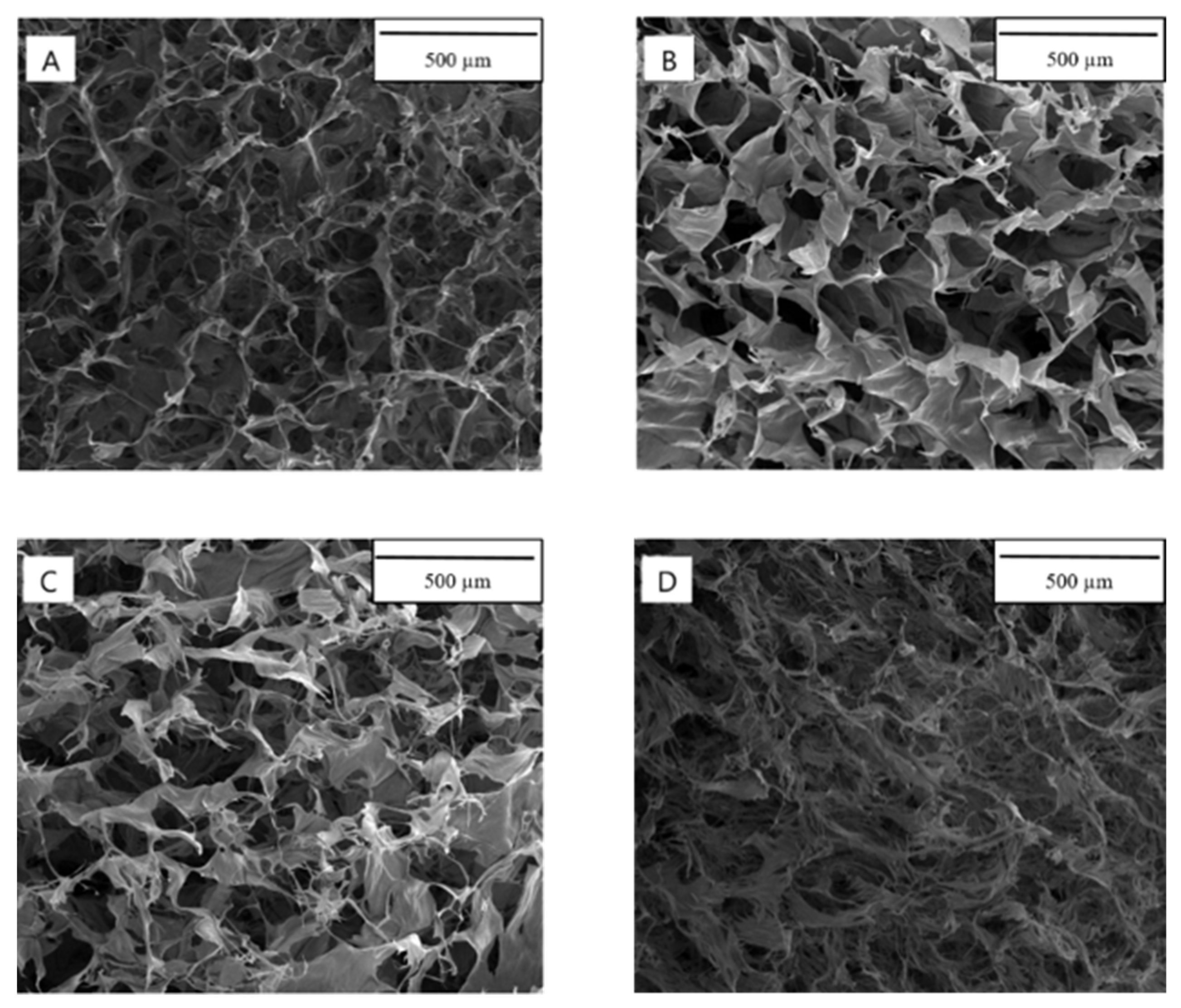 Materials 14 04993 g002