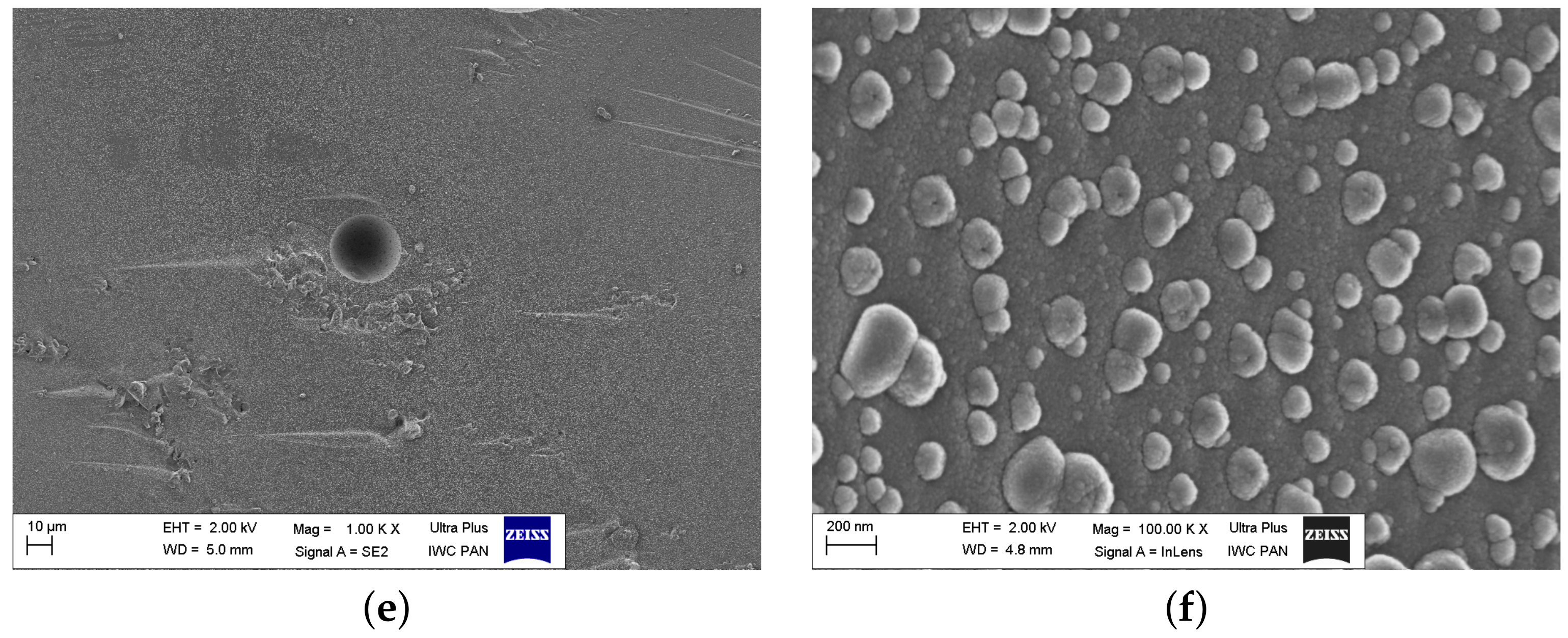 Materials 14 04997 g007b 550