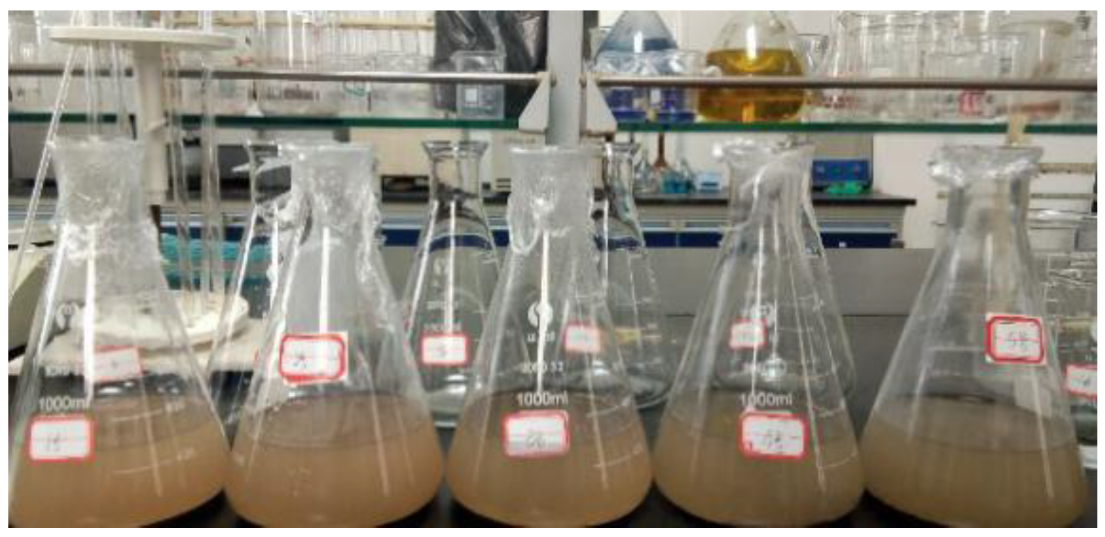 Materials 14 04999 g005