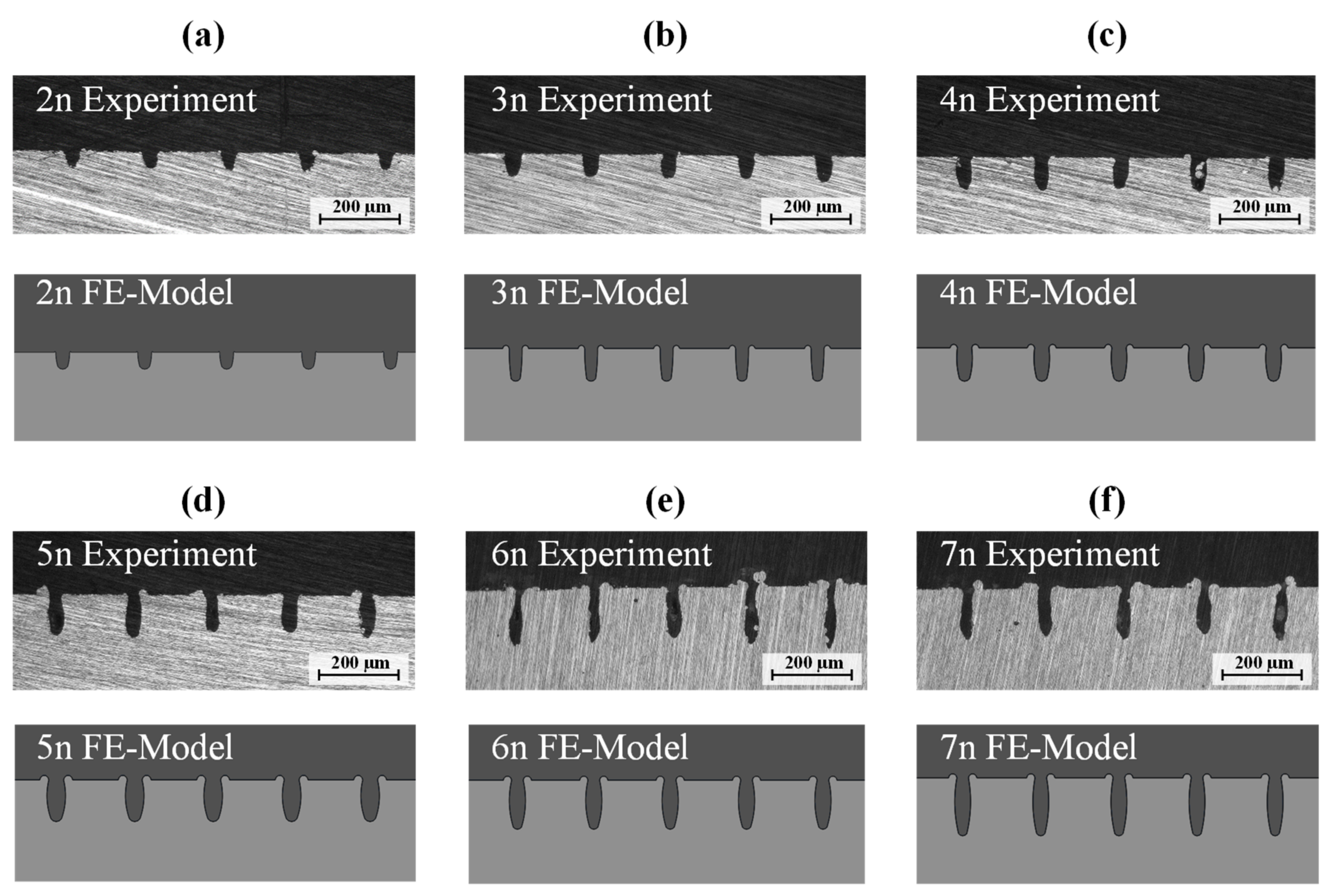 Materials 14 05004 g005