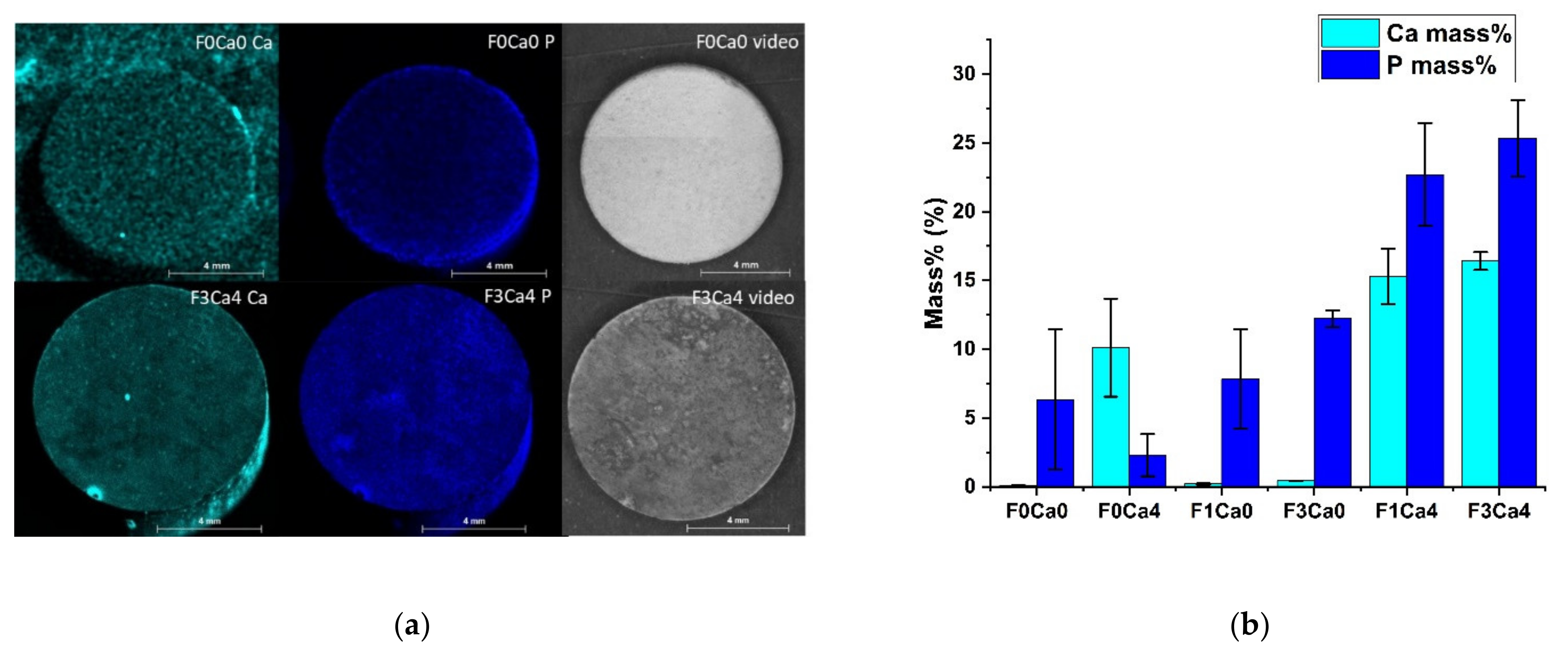 Materials 14 05005 g005